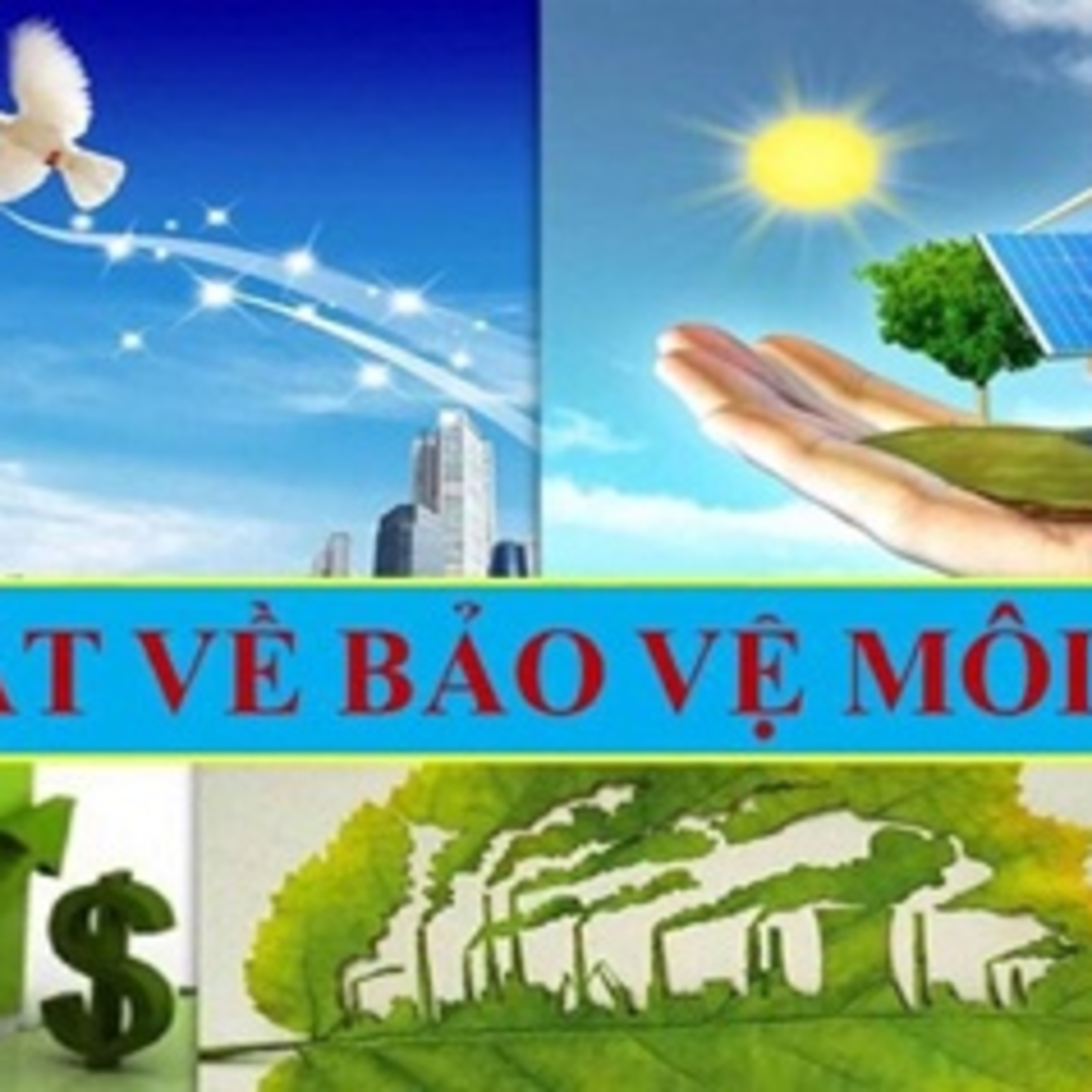 Tài nguyên môi trường - Sau 1 năm Luật Bảo vệ môi trường có hiệu lực – Số vụ vi phạm pháp luật về môi trường giảm episode artwork