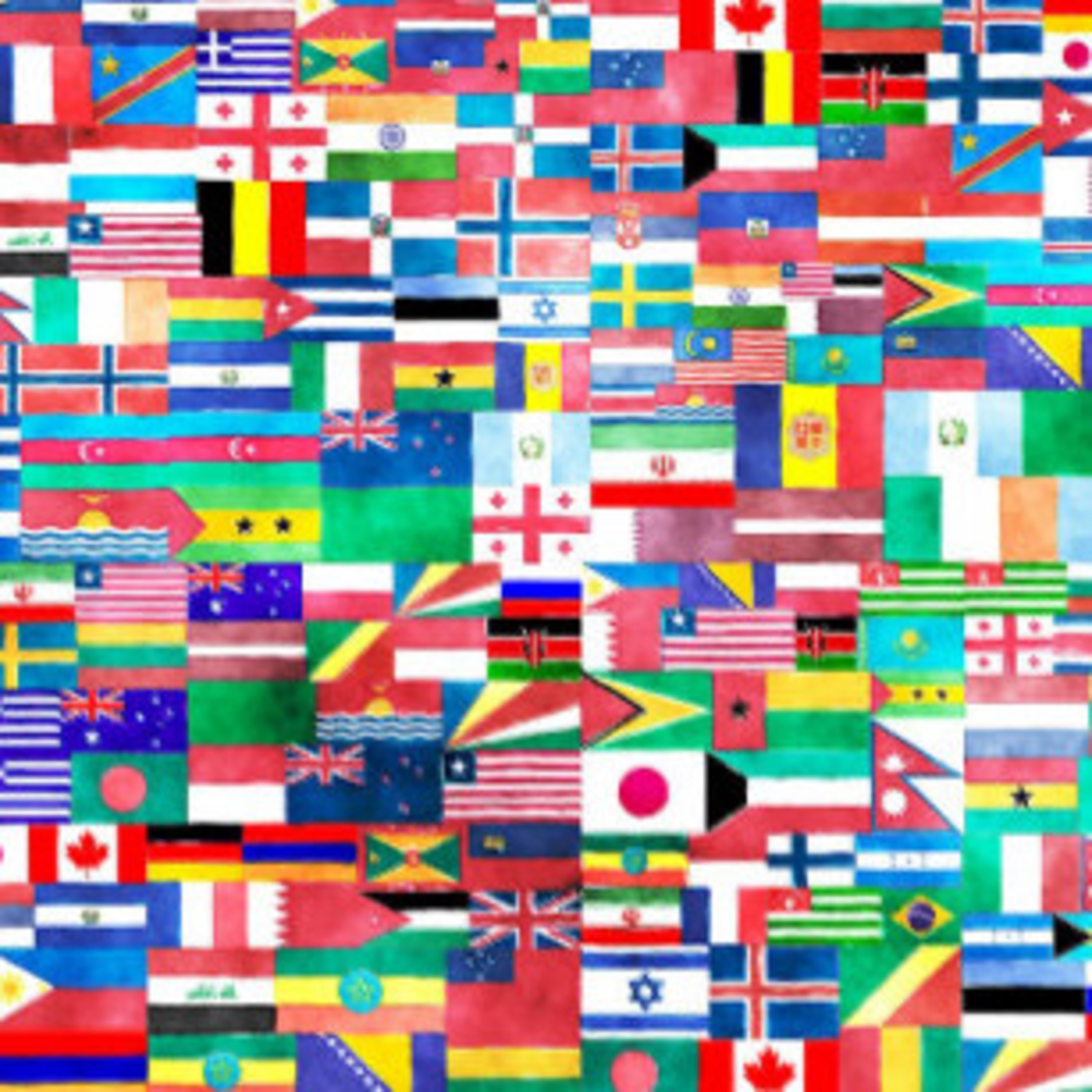 Episode 1 WSSB Flag Project