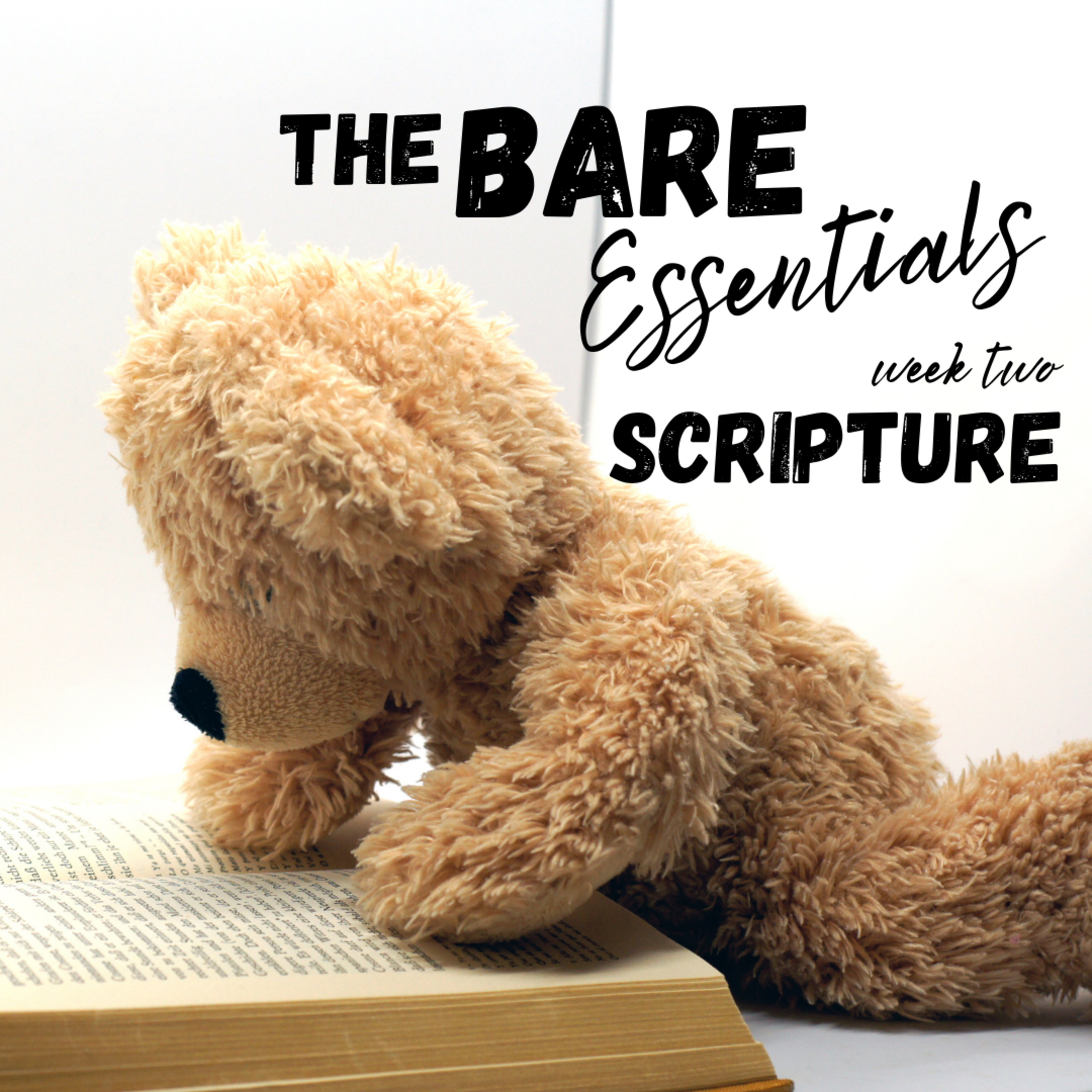 The Bare Essentials: Scripture (Week Two) episode artwork