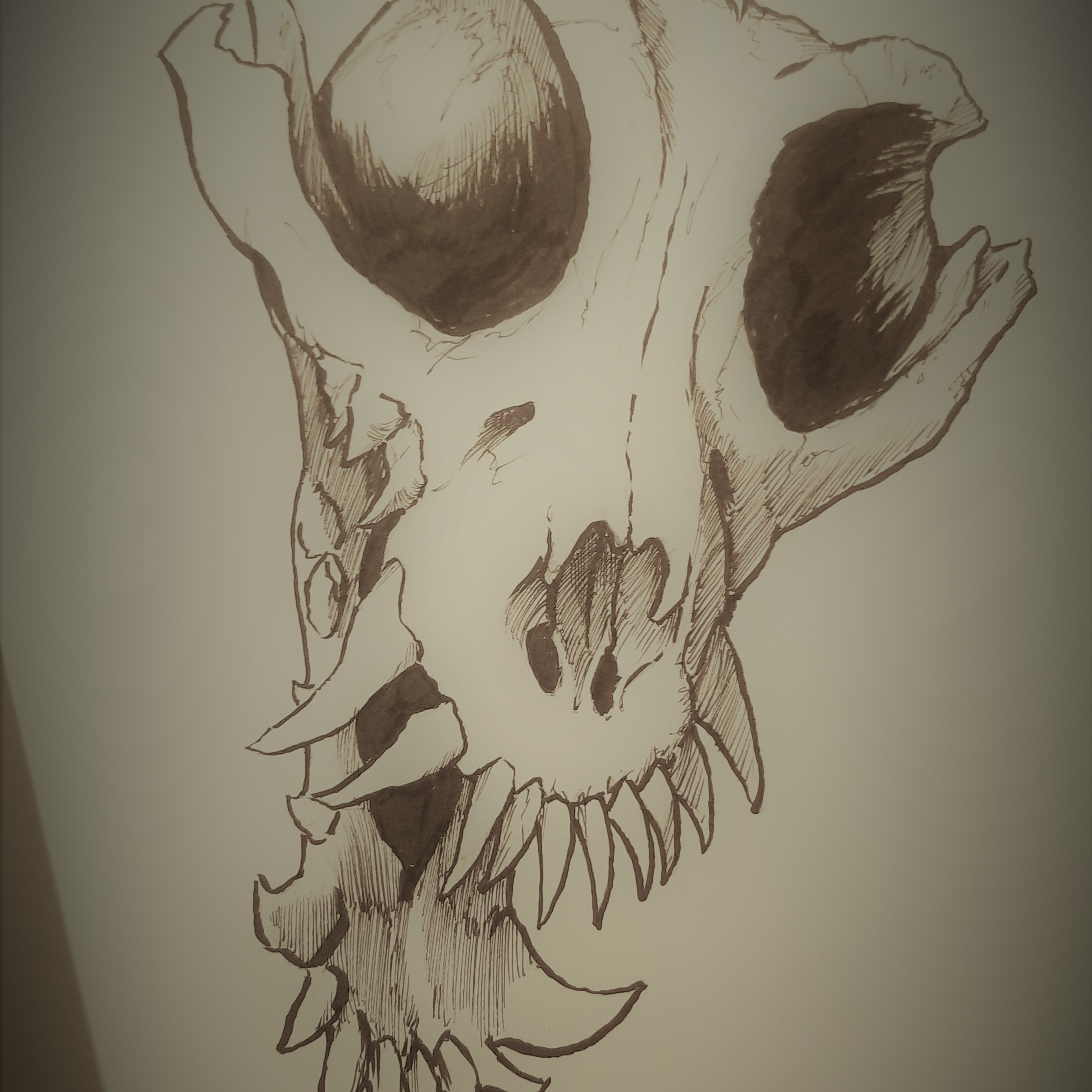 The Kirkwood Chronicles