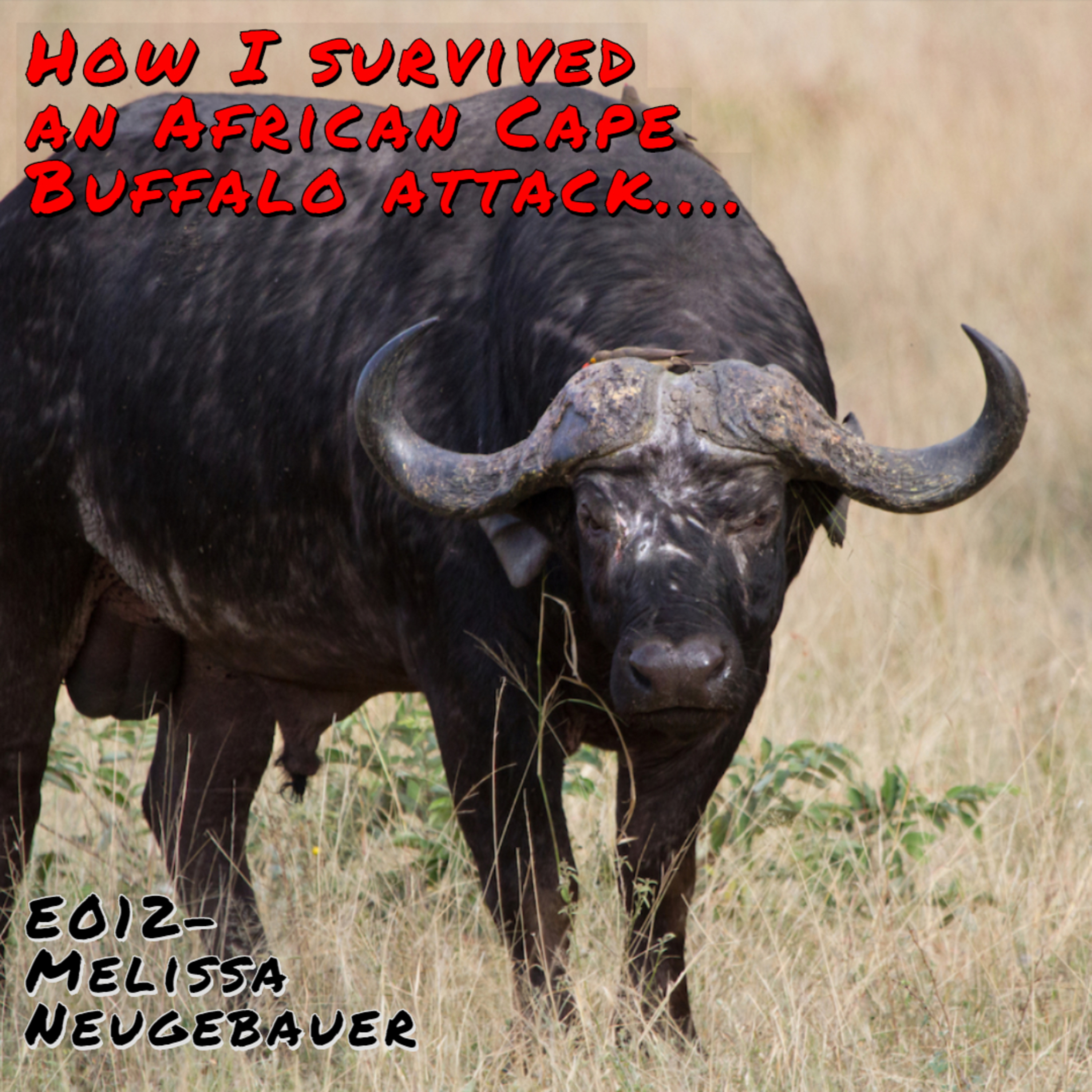 Hunters Advantage Podcast