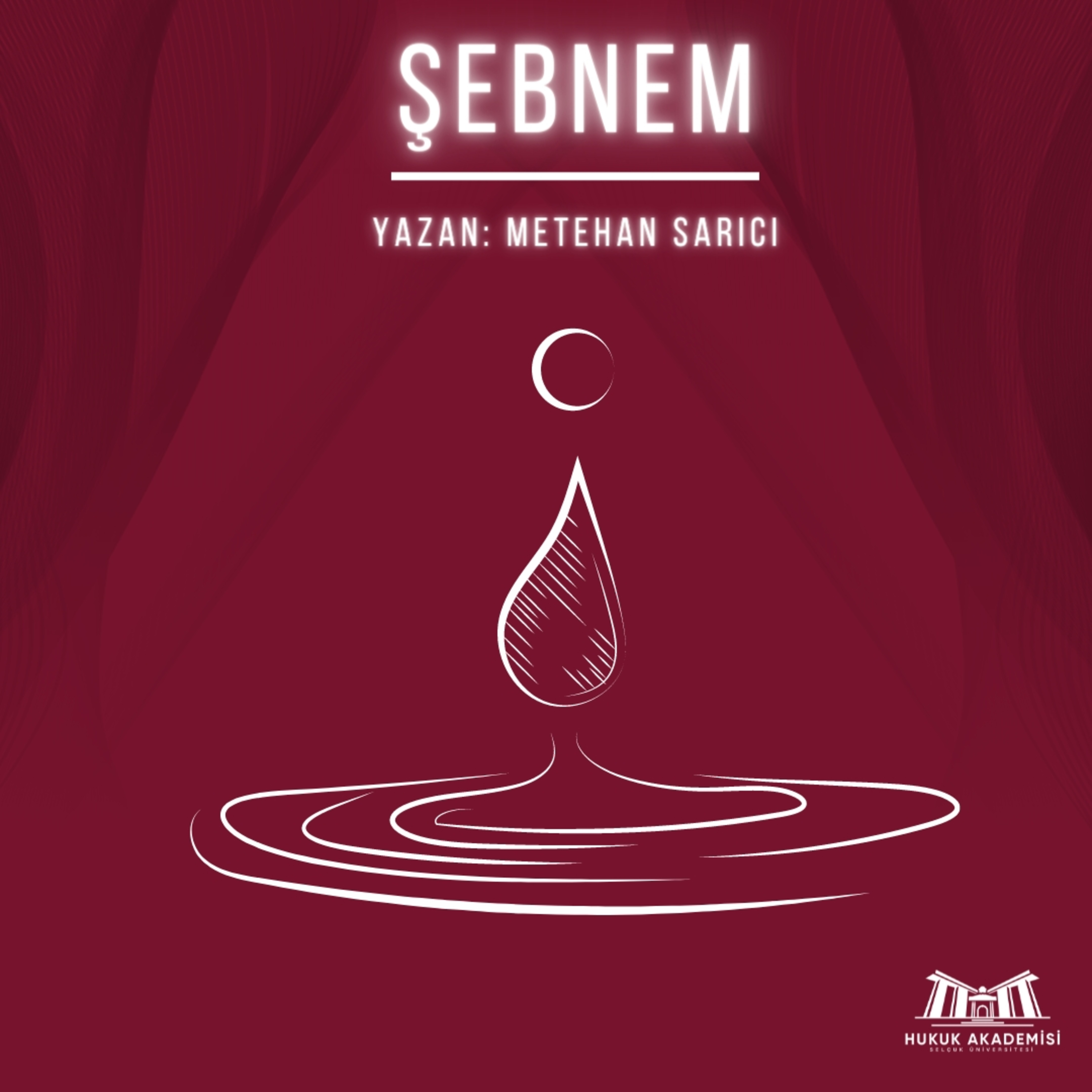 Selçuk Üniversitesi Hukuk Akademisi