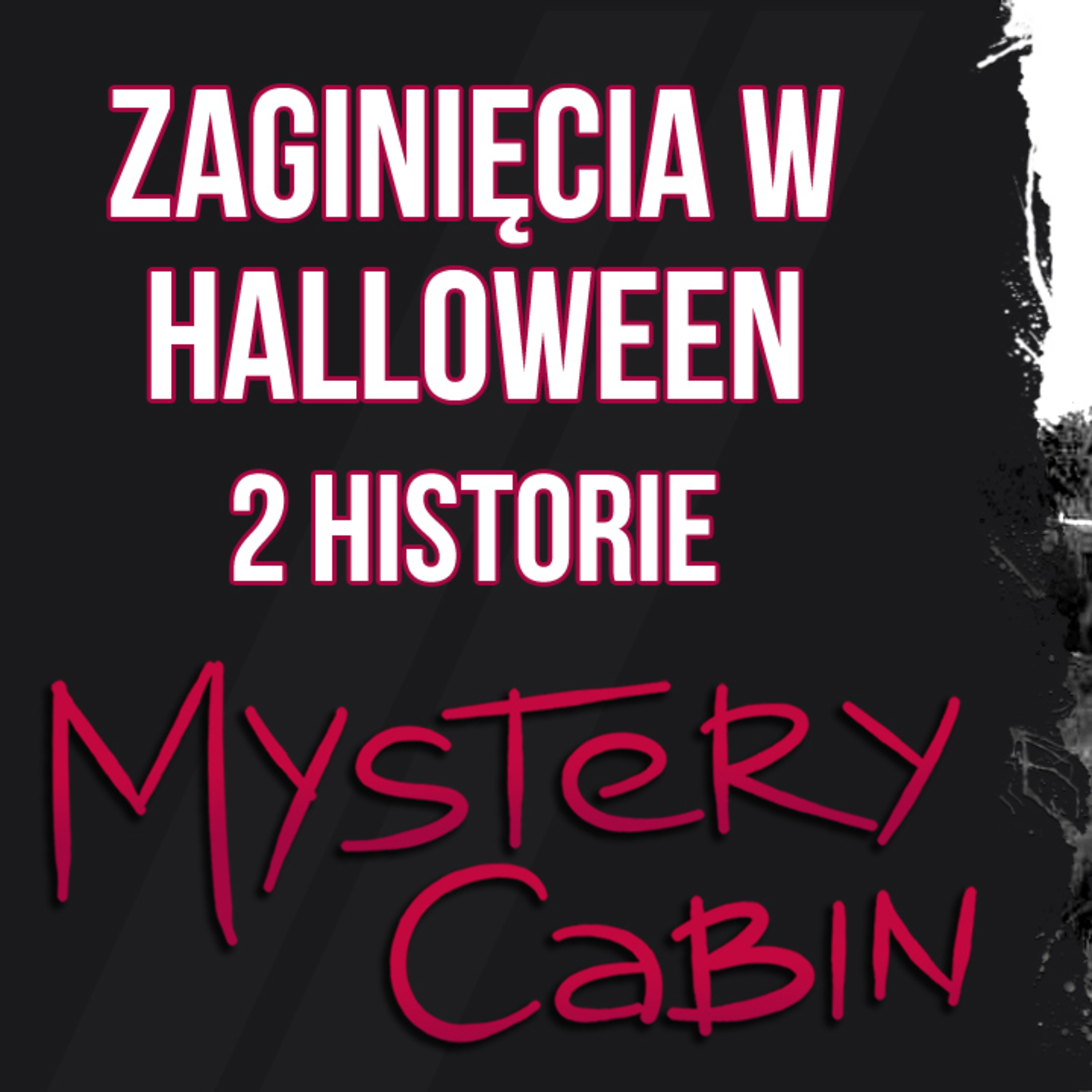 Zaginieni w Halloween - David Stone, Shaun Ritchie - Mystery Cabin