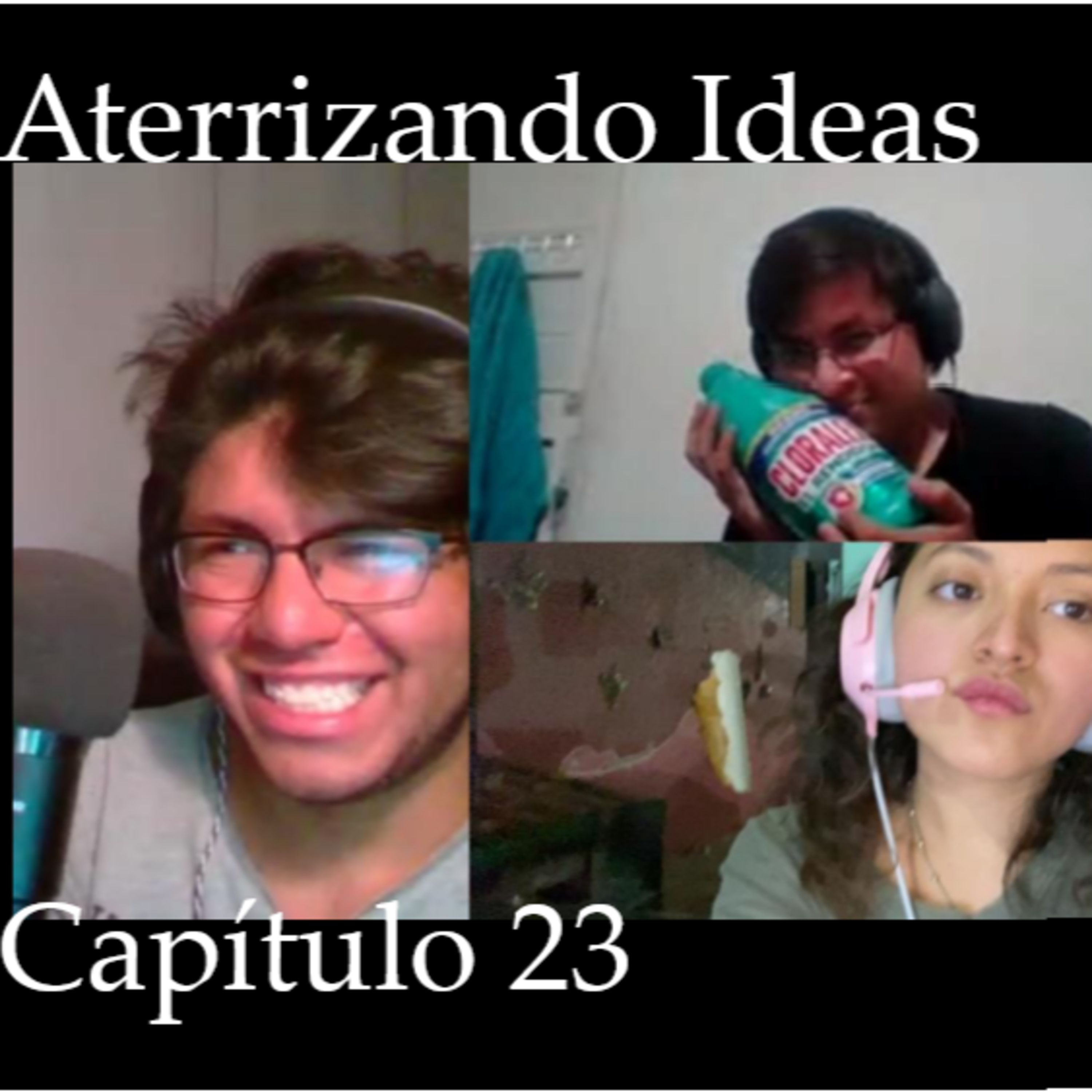 Aterrizando Ideas