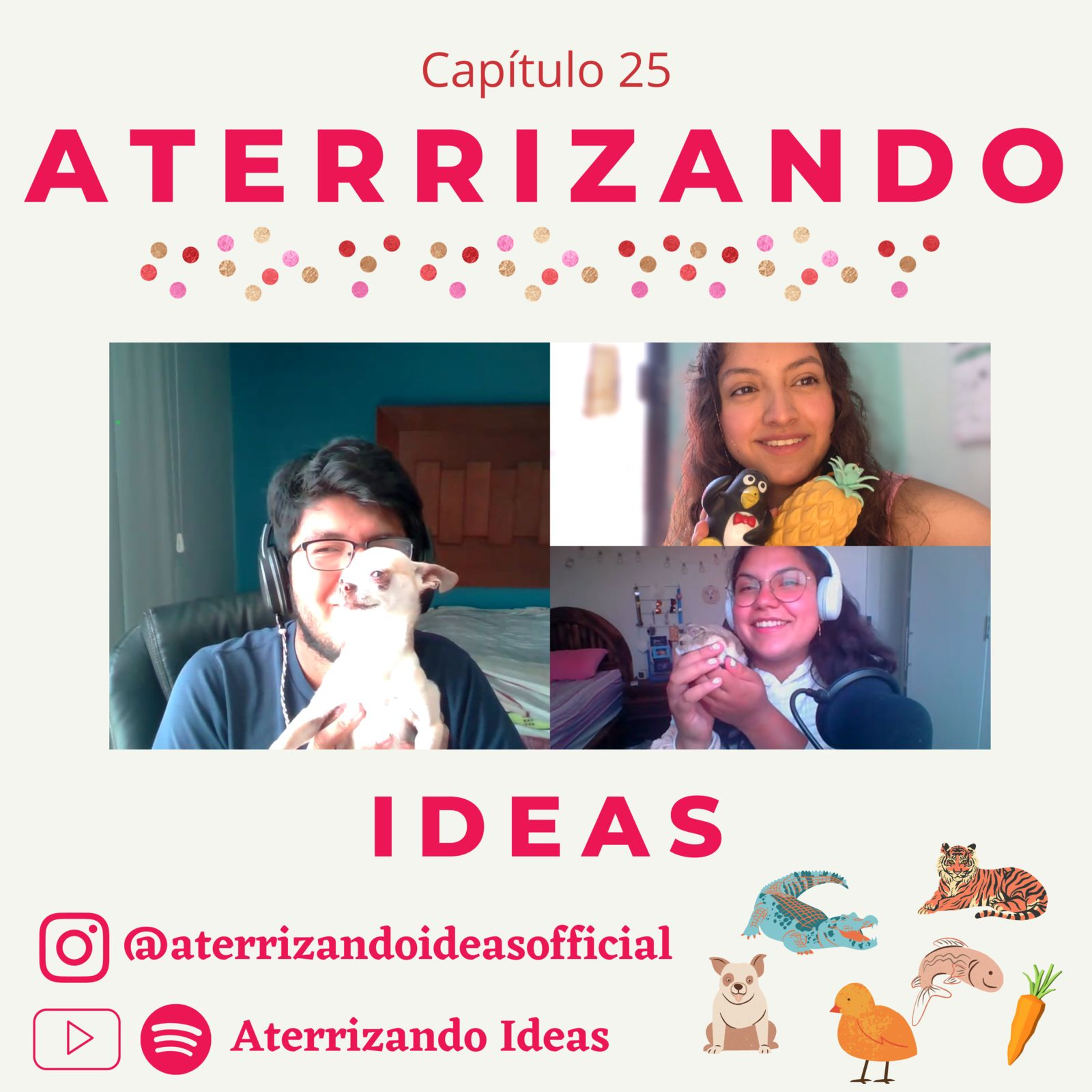 Aterrizando Ideas
