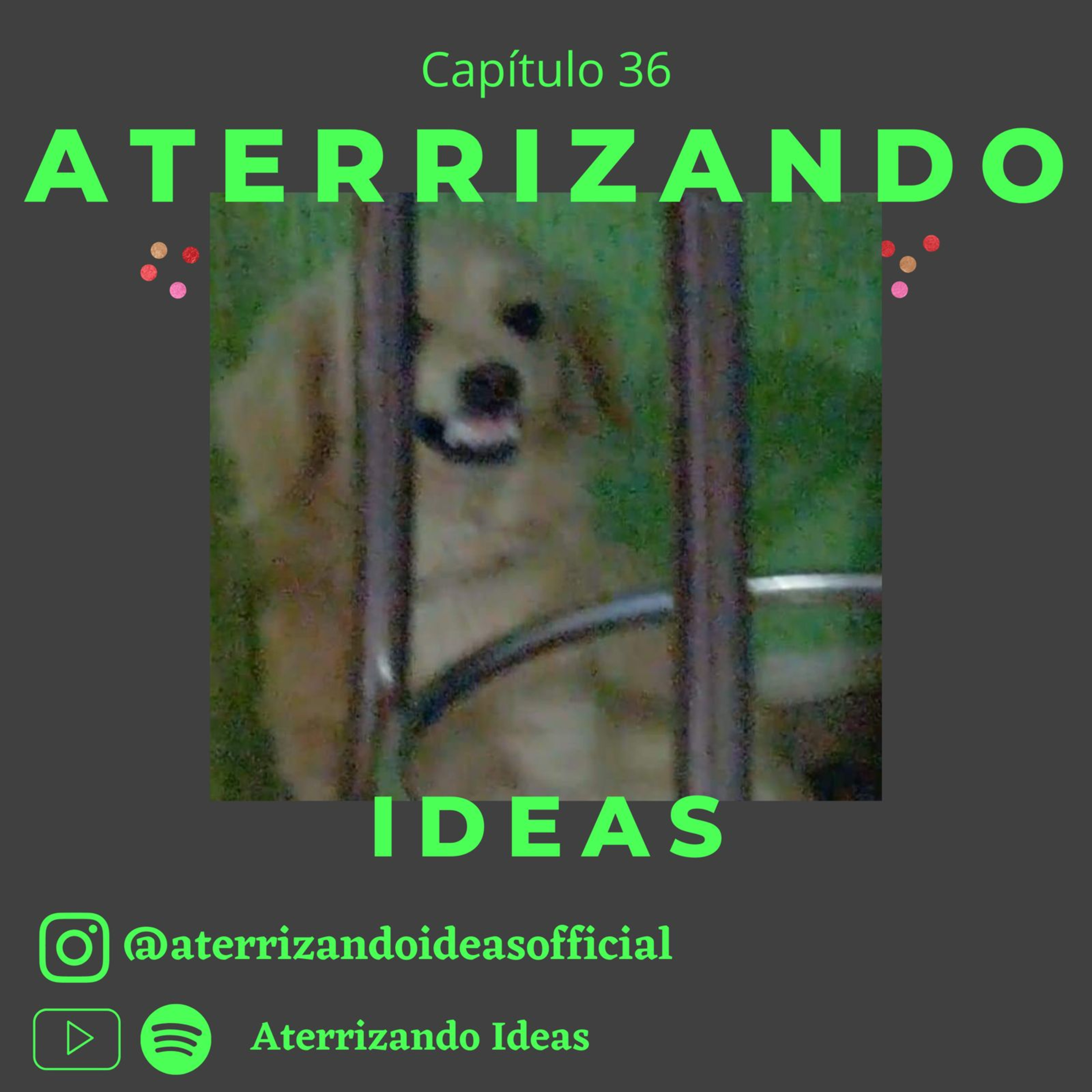Aterrizando Ideas