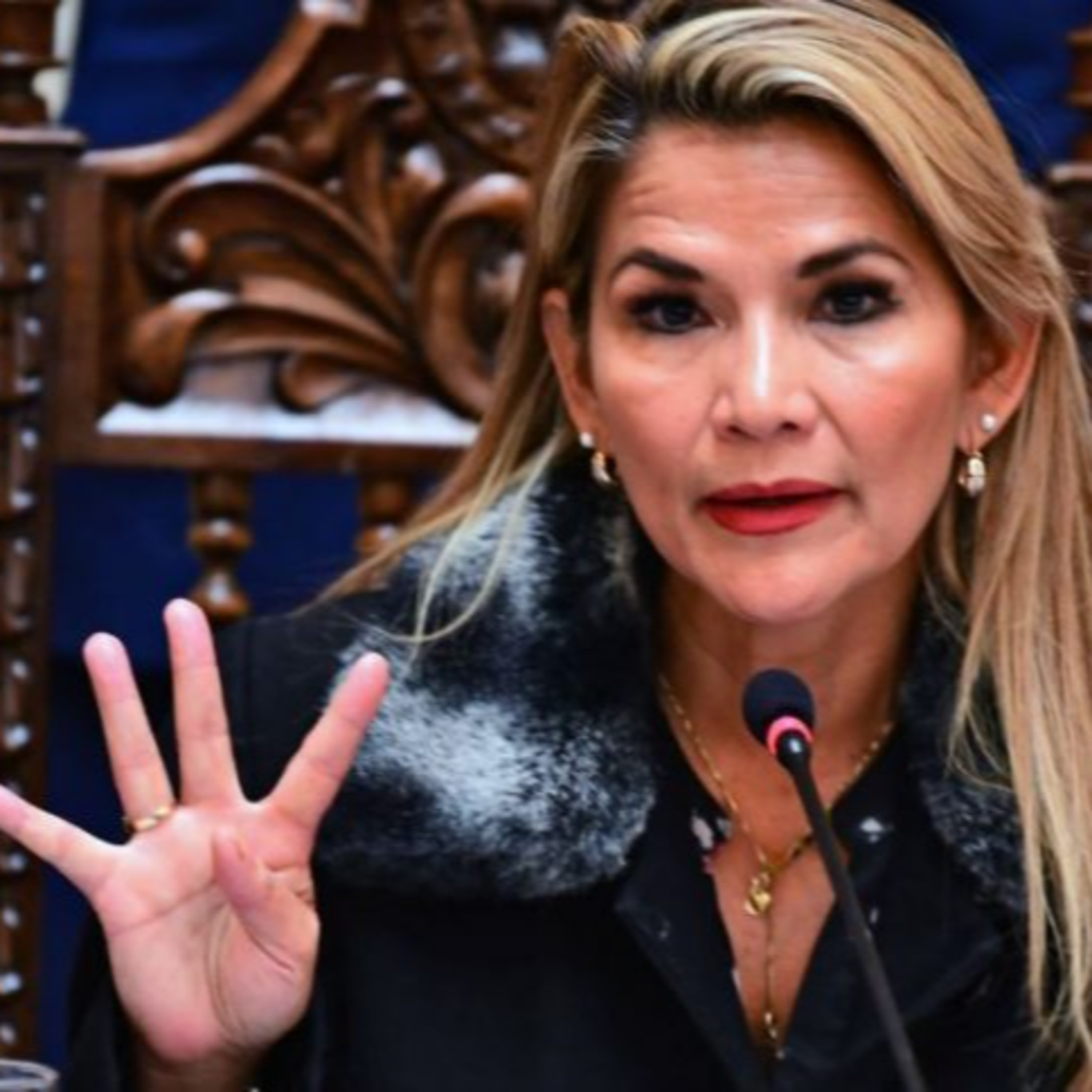 Piden prisión preventiva para la ex presidenta de Bolivia Jeanine Áñez: “Es algo injustificable” episode artwork