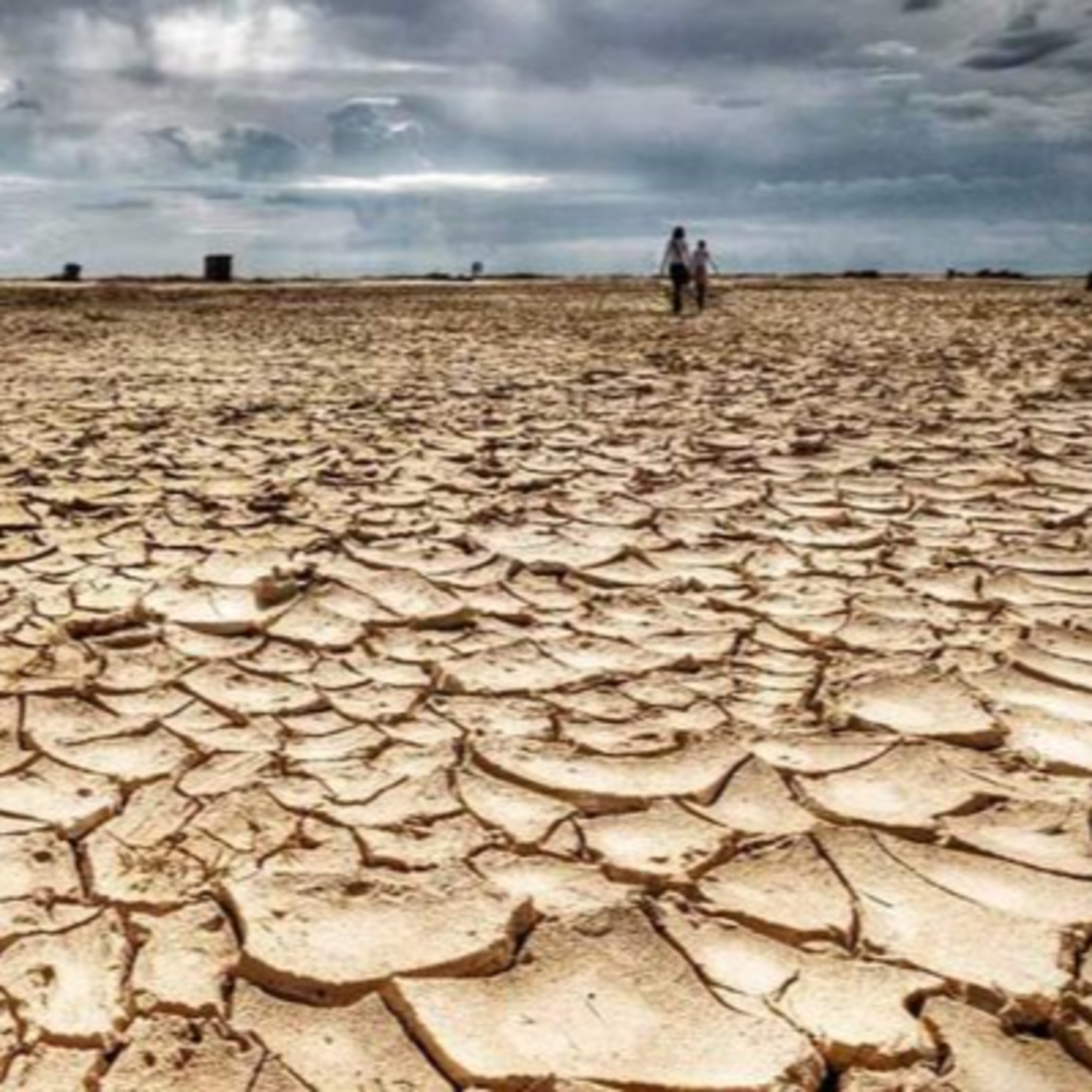 El Espíritu de Darwin
