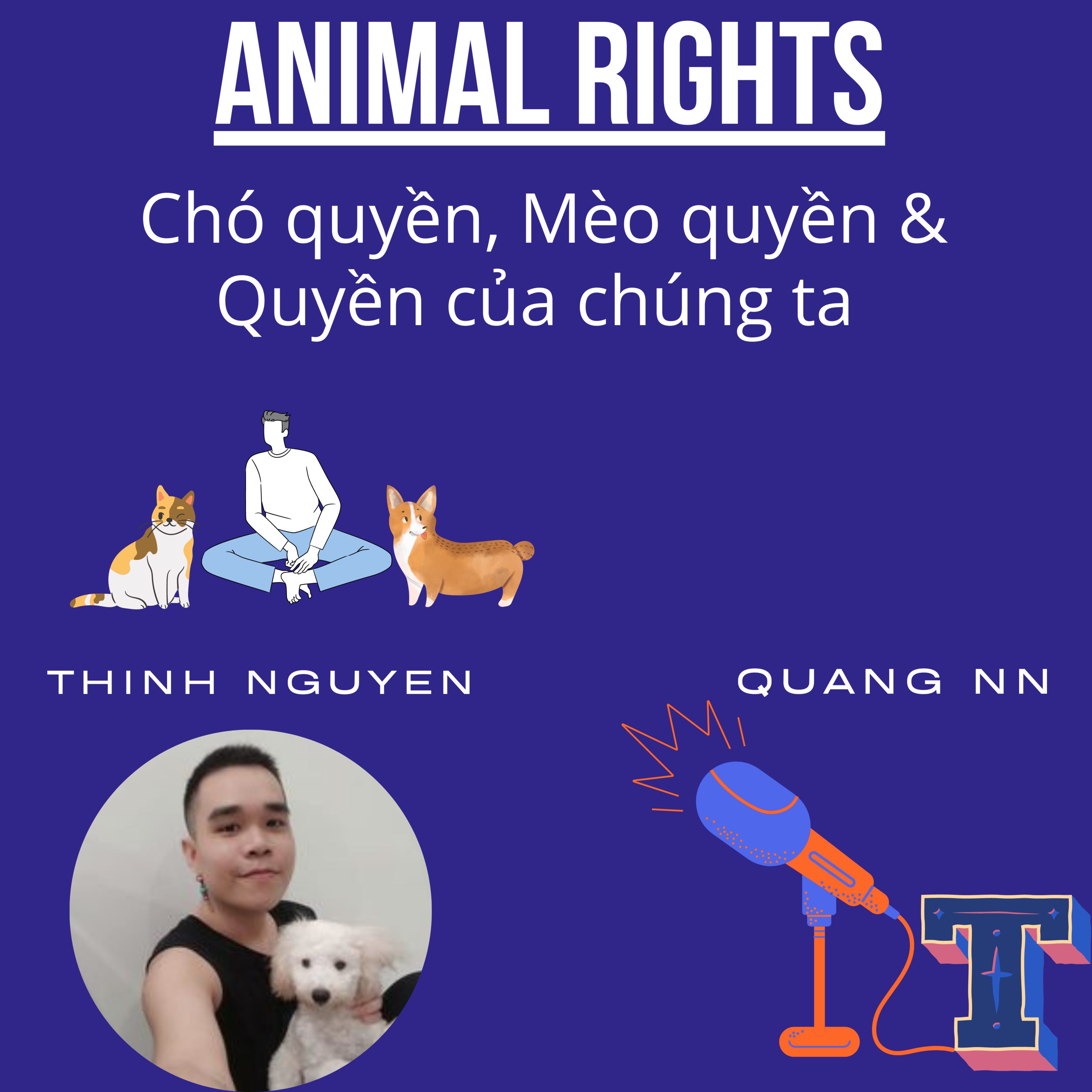 Chuyện chữ T