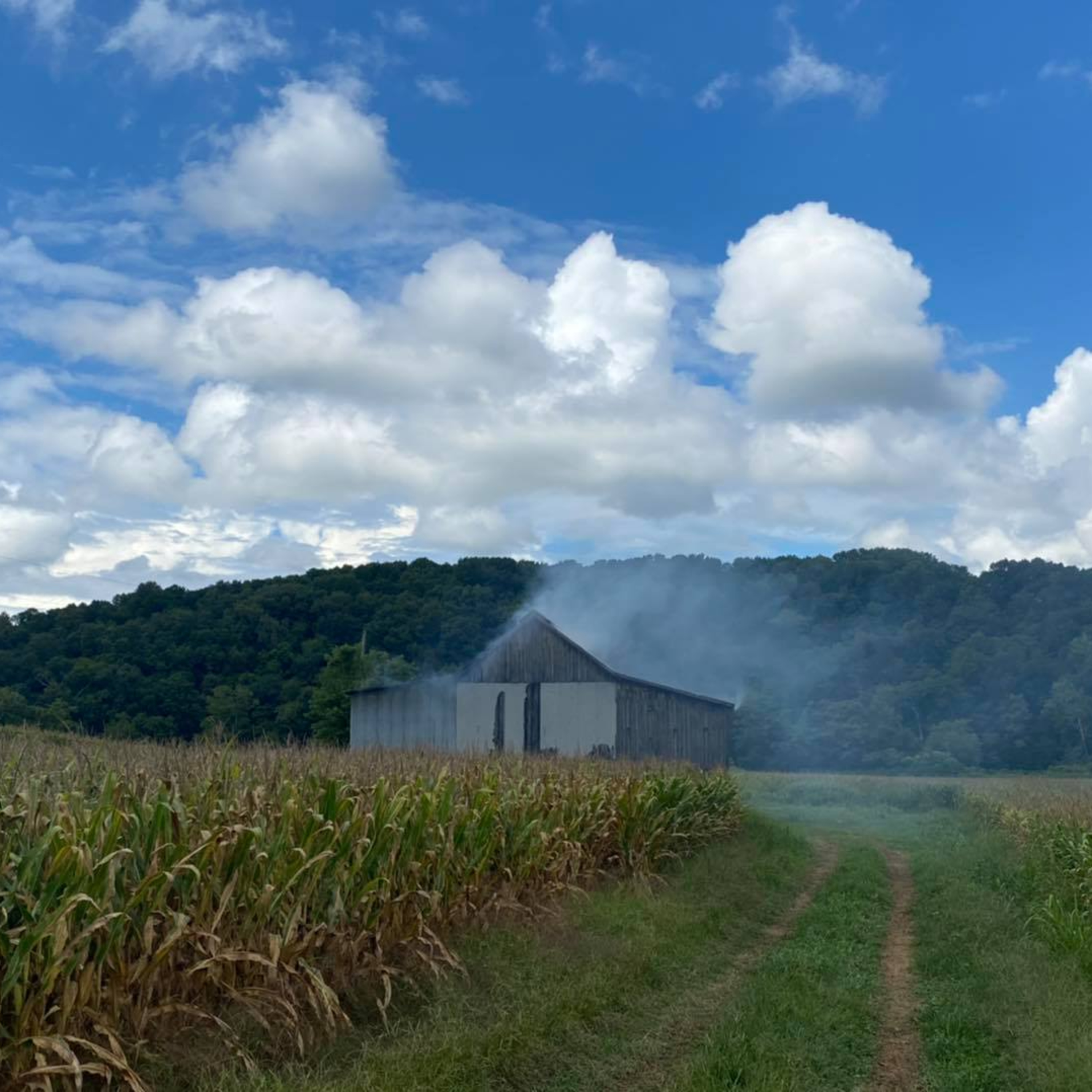 Marion Travels - Travel Tips and Fun Activities