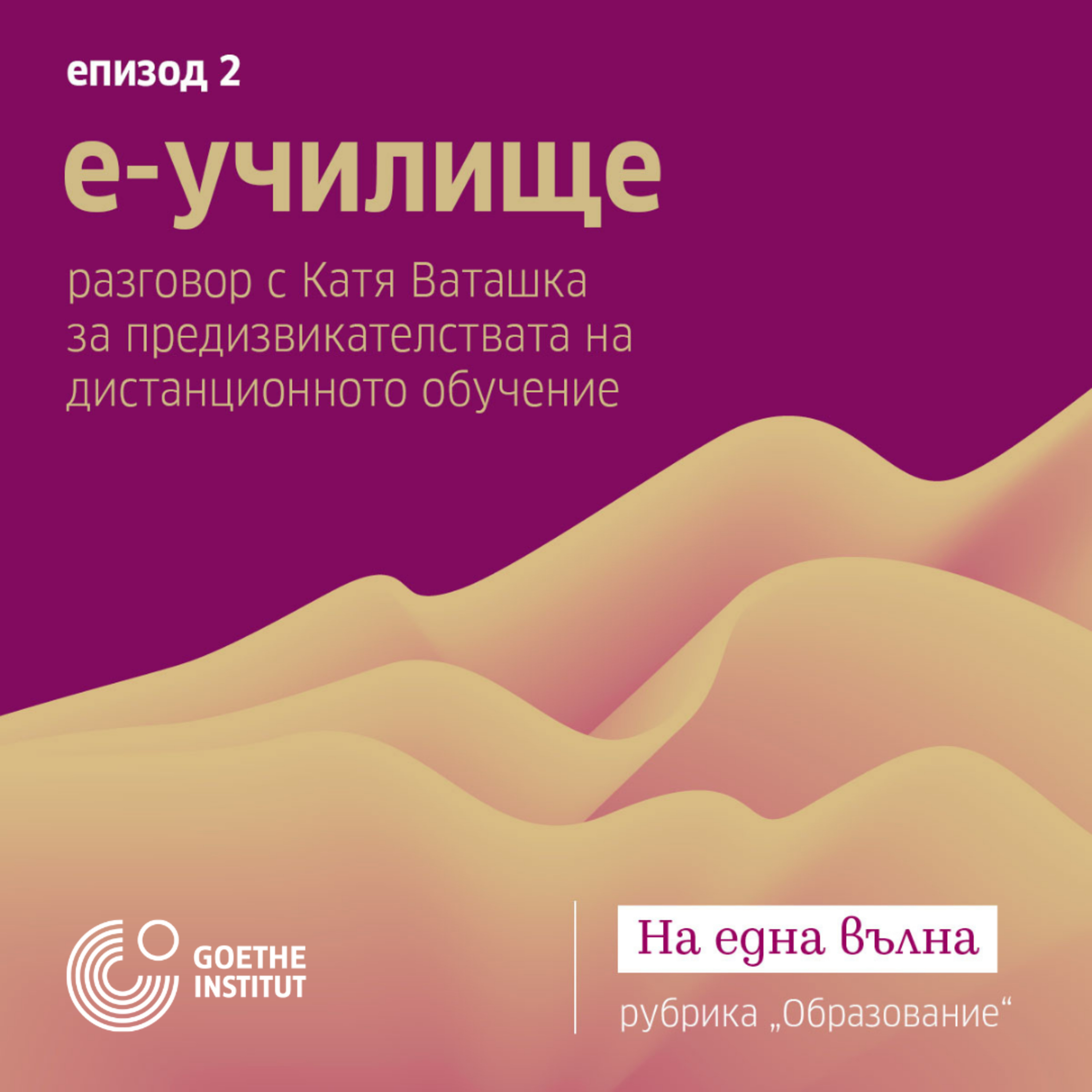 02 Образование: Е-УЧИЛИЩЕ с гост Катя Ваташка episode artwork