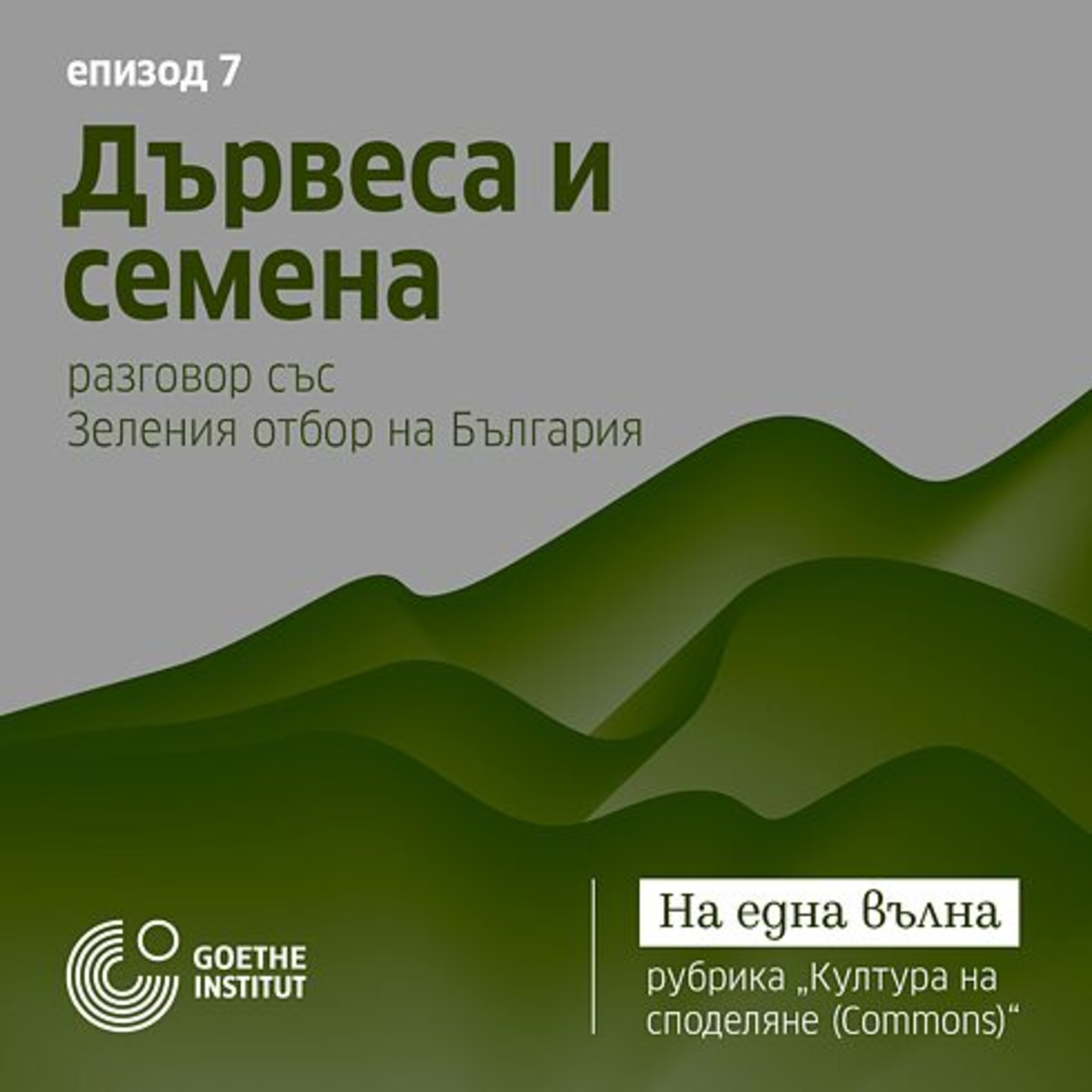 07 Култура на споделяне *Commons:​ Дървеса и семена с гости Мария Латинова и Антон Данчев episode artwork