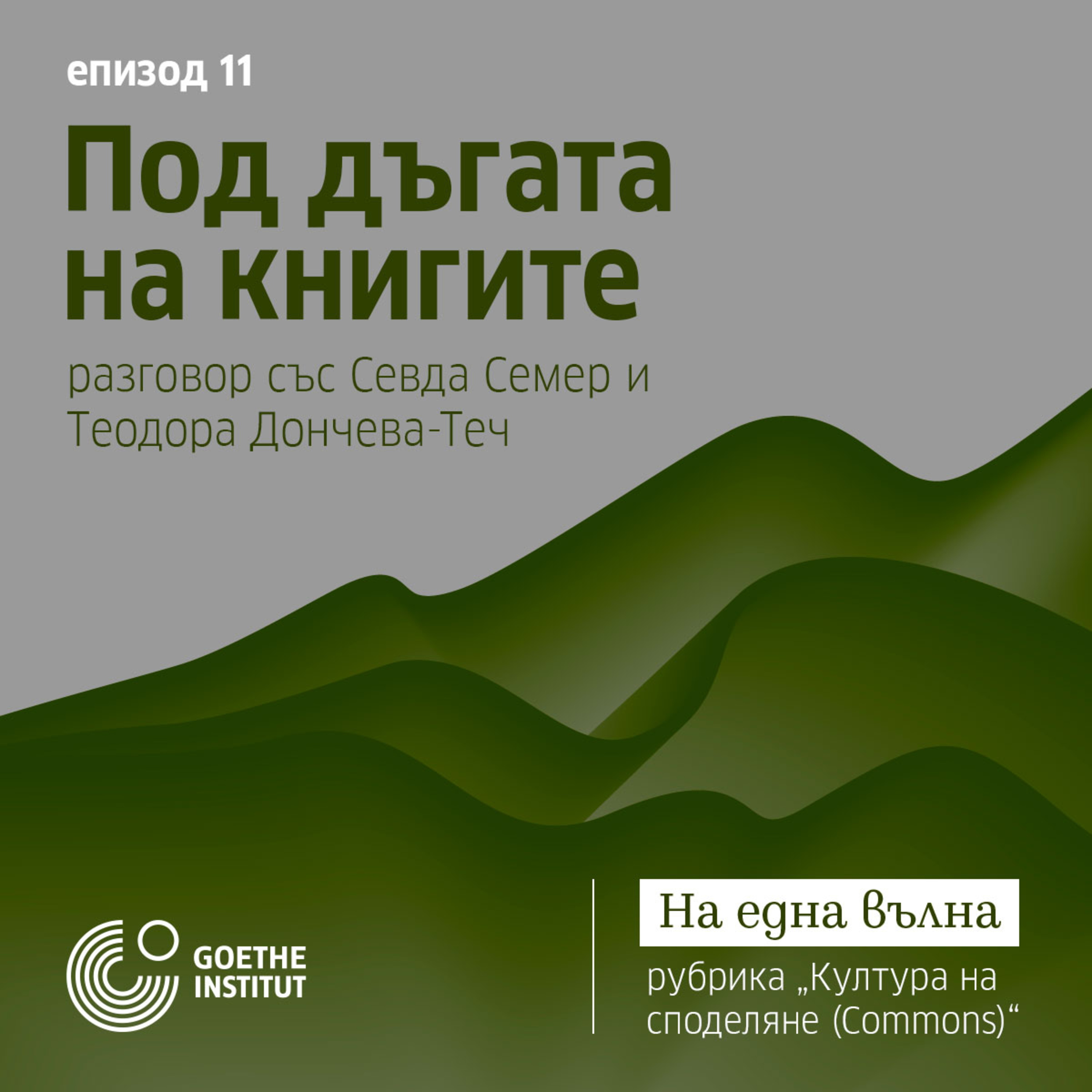 11 Култура на споделяне Commons*: Под дъгата на книгите с гости Севда Семер и Теодора Дончева-Теч episode artwork