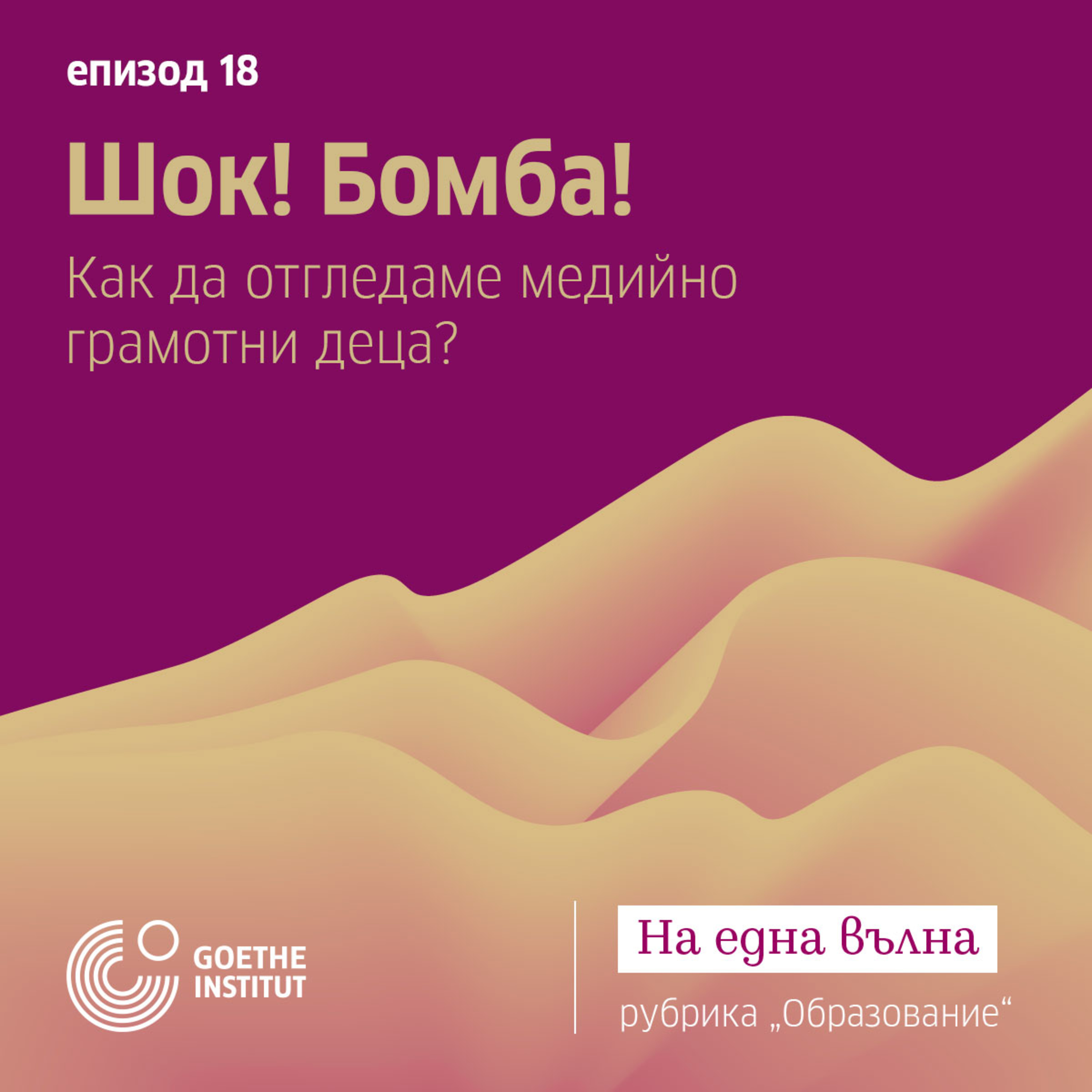 18 Образование: Шок! Бомба! Как да отгледаме медийно грамотни деца episode artwork