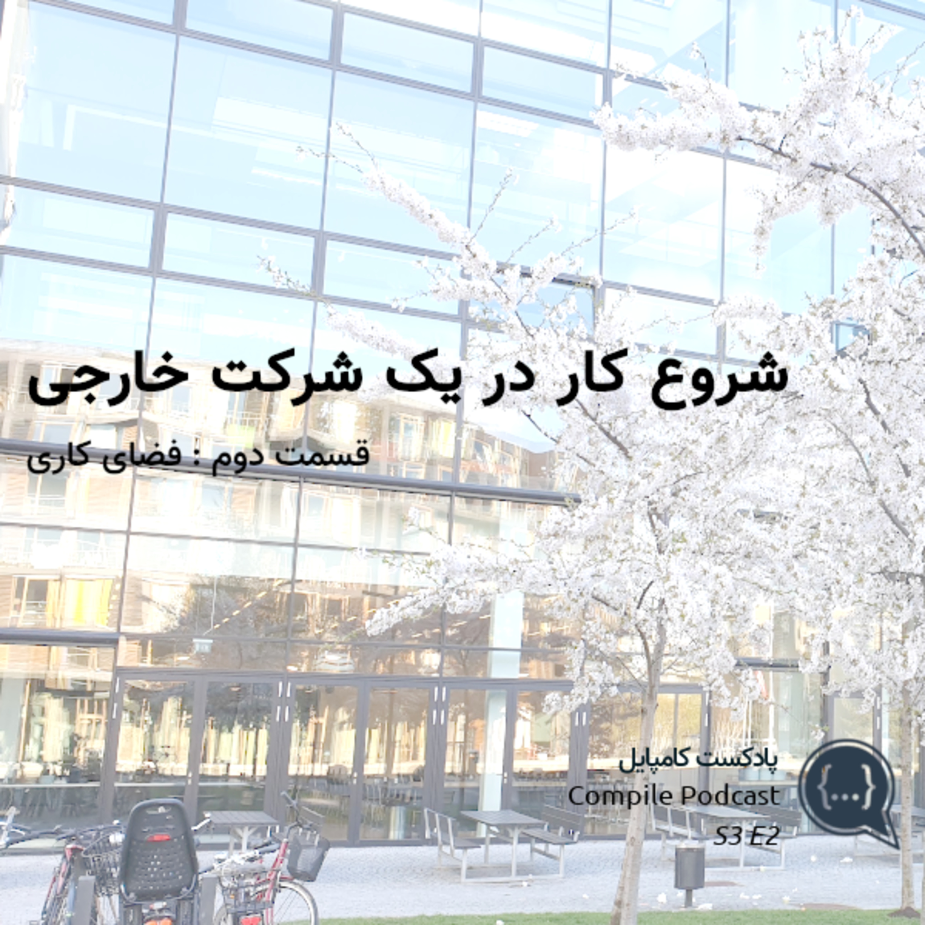 شروع کار در یک شرکت خارجی (قسمت دوم - محیط کار)