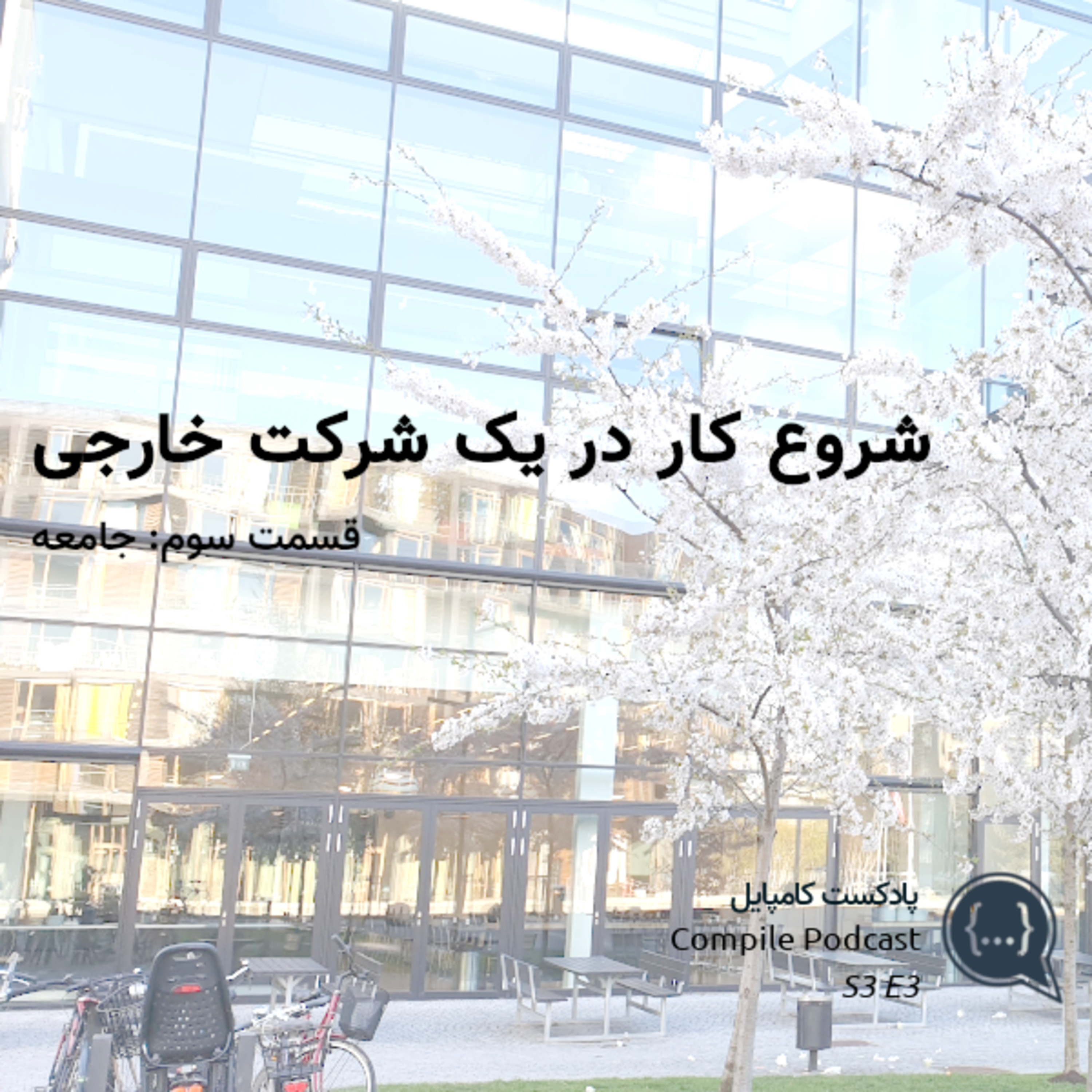 شروع کار در یک شرکت خارجی (قسمت سوم - جامعه)