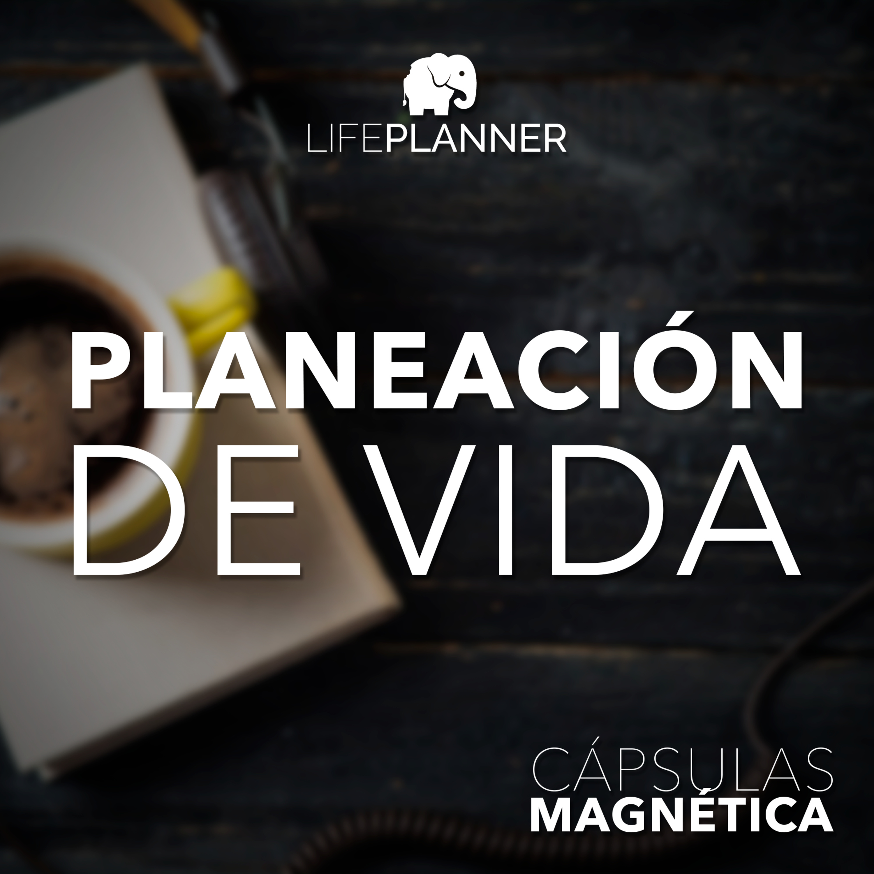 Planeación de Vida: Contexto Interno y Externo episode artwork