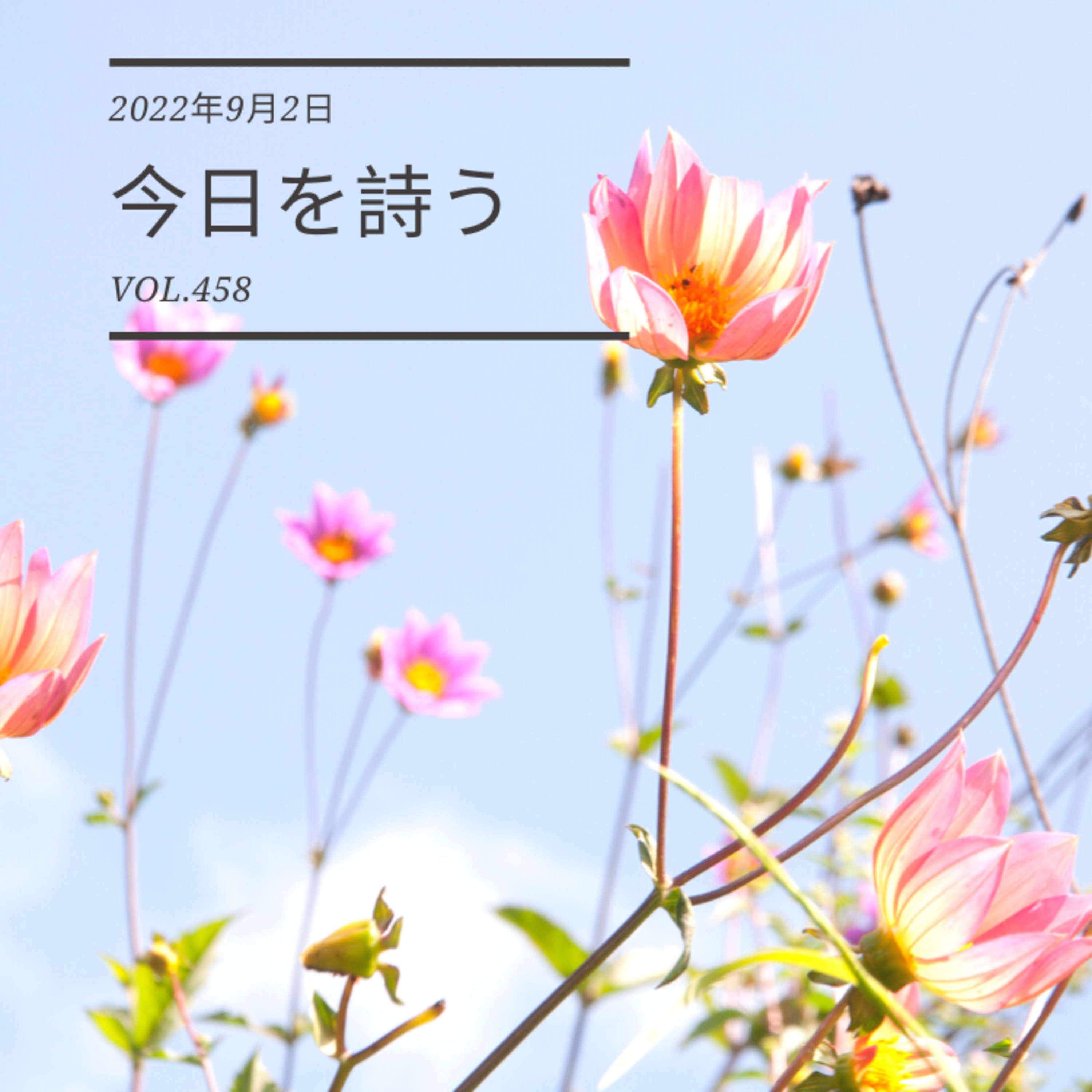 2022/9/2 Fri. ＃458 episode artwork