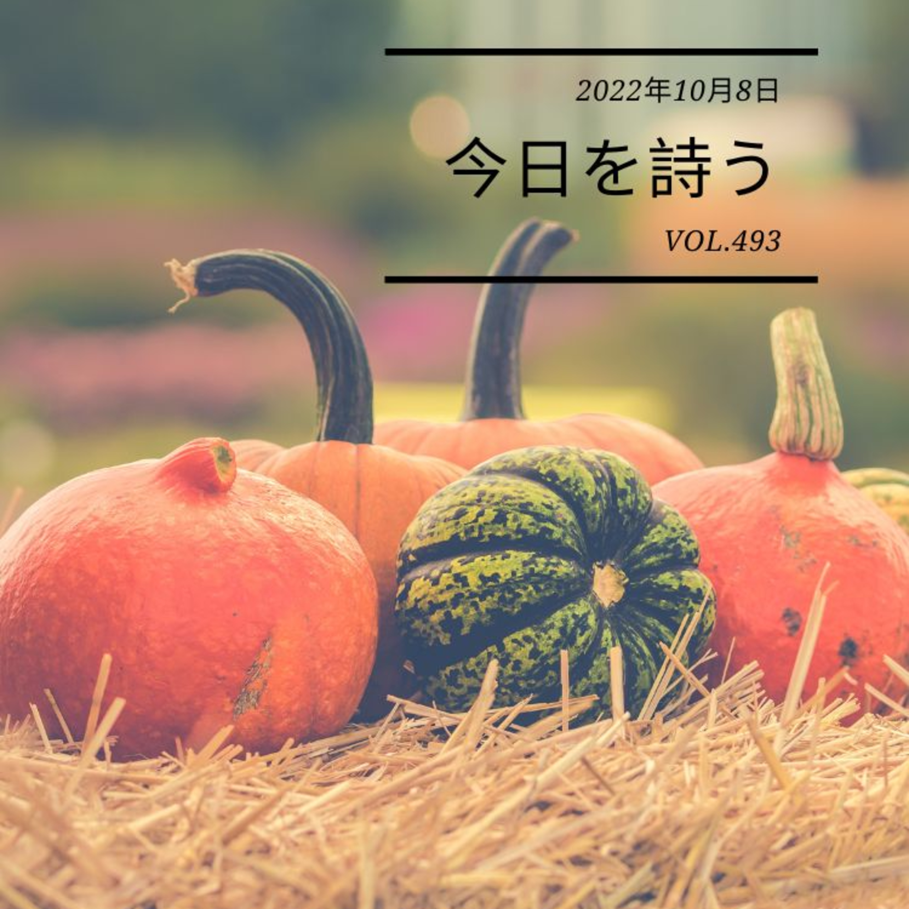 2022/10/8 Sat. ＃493 episode artwork