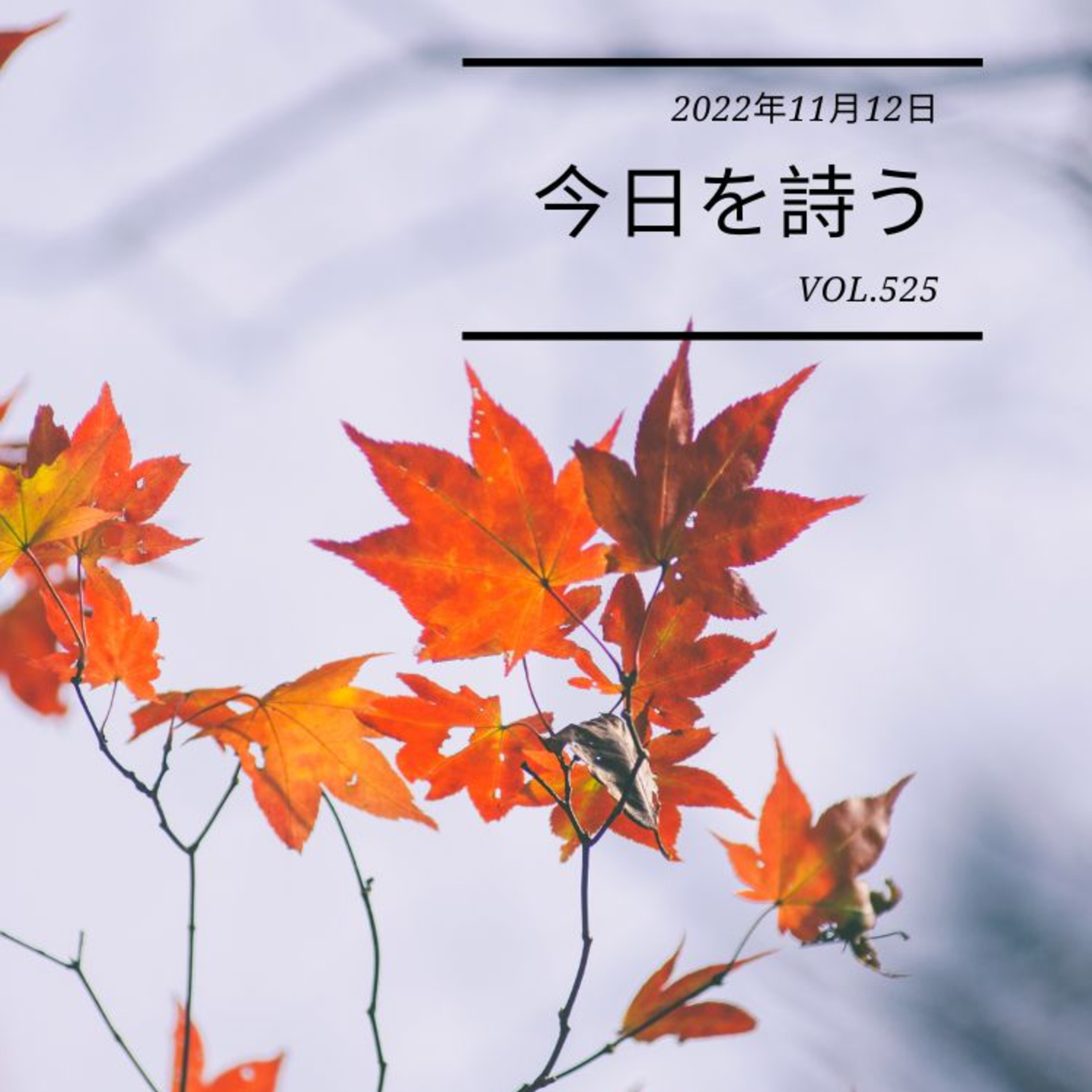 2022/11/12 Sat. ＃525 episode artwork