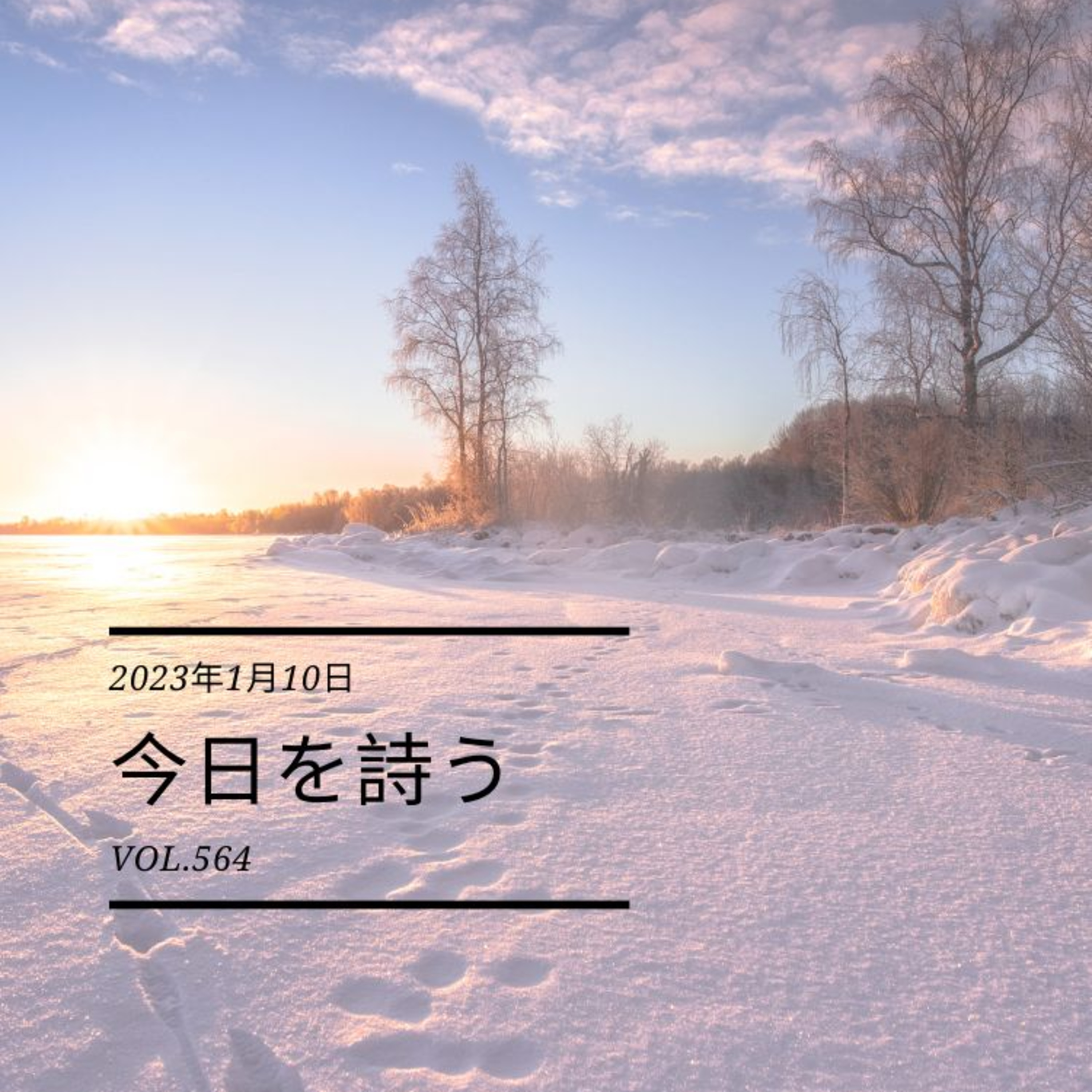 2023/1/10 Tue. ＃564 episode artwork