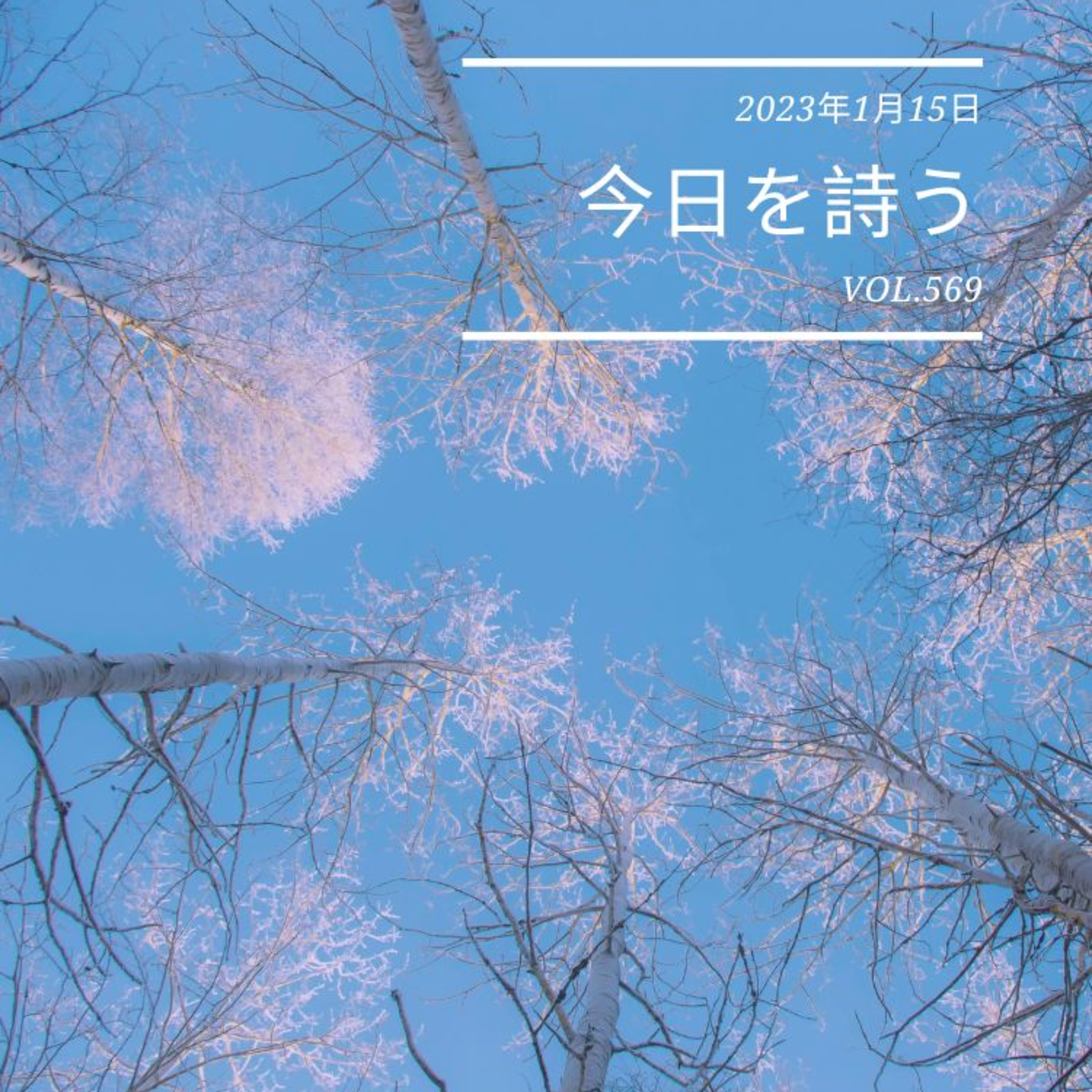 2023/1/15 Sun. ＃569 episode artwork