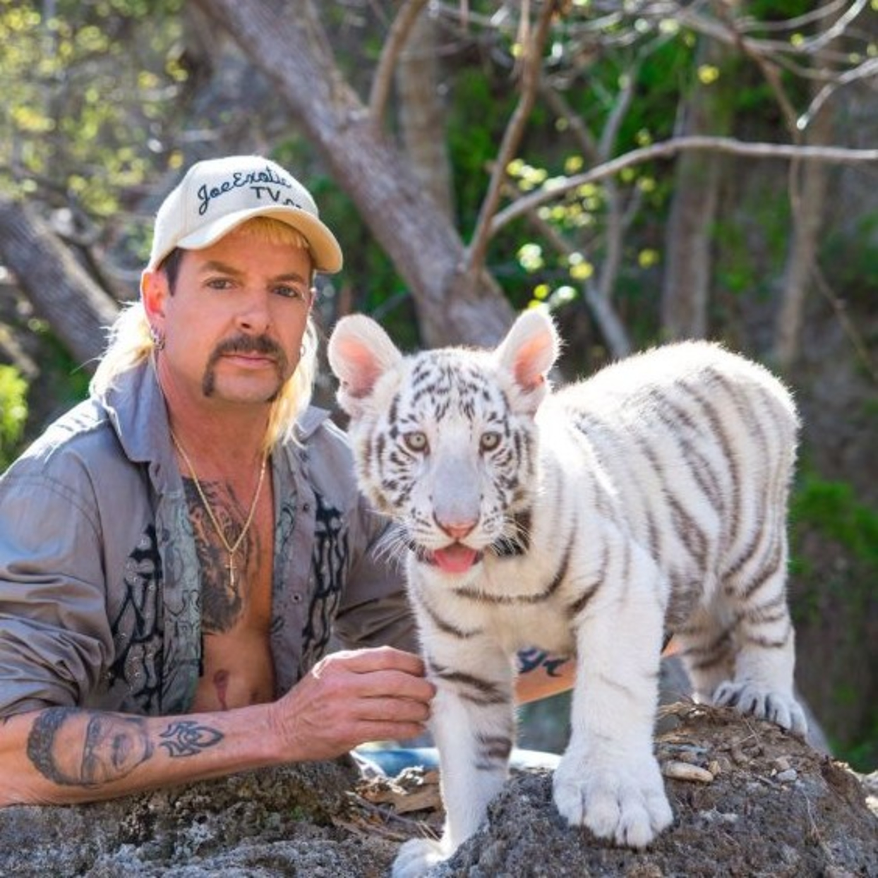 Tiger King (Family Review) episode artwork