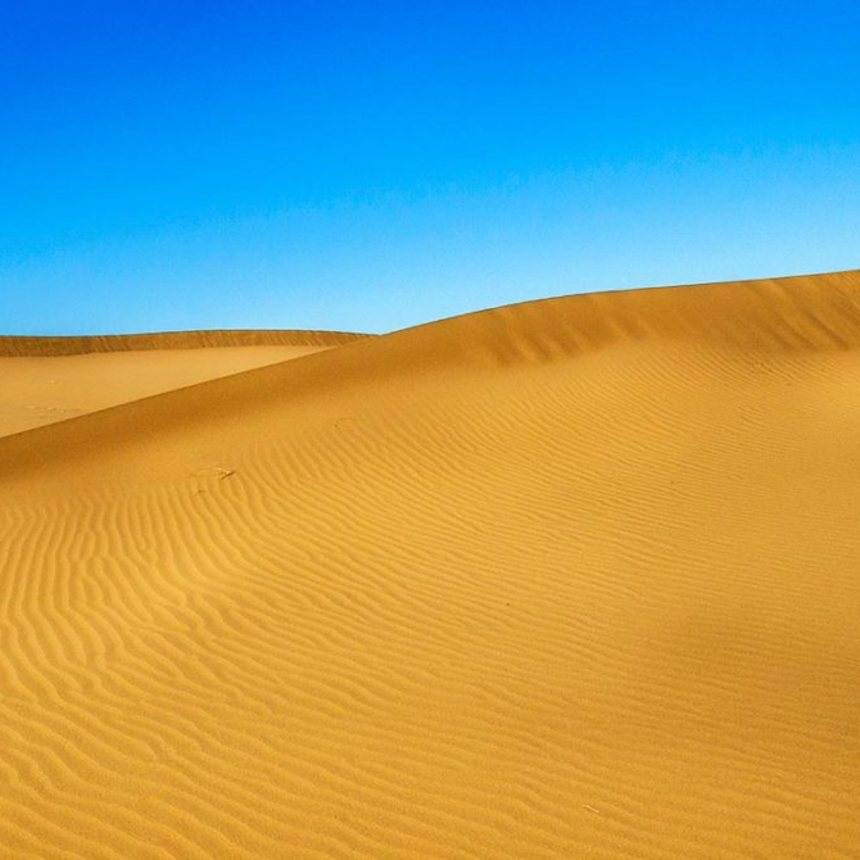 کاور کویر مصر