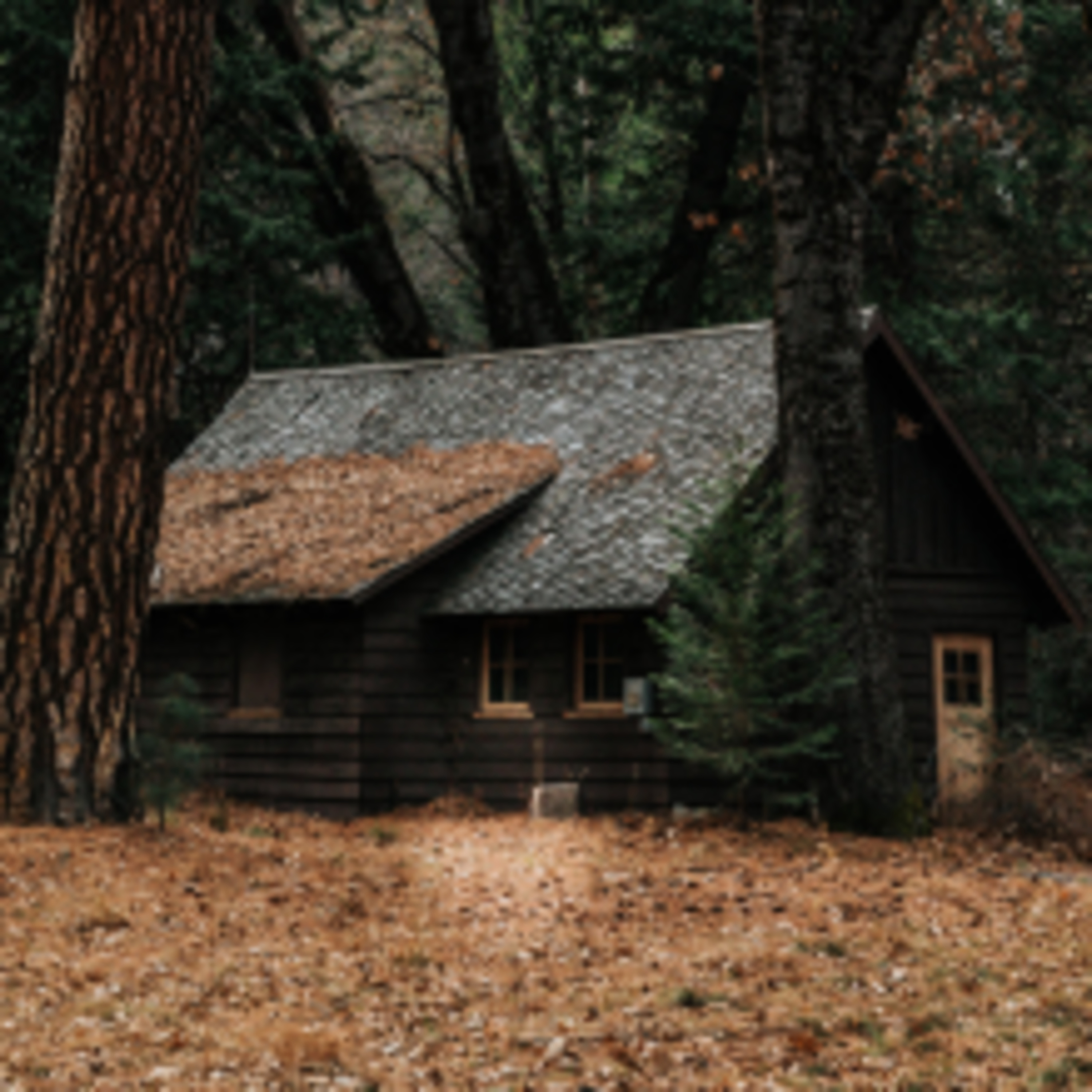 Cabin Fever episode artwork