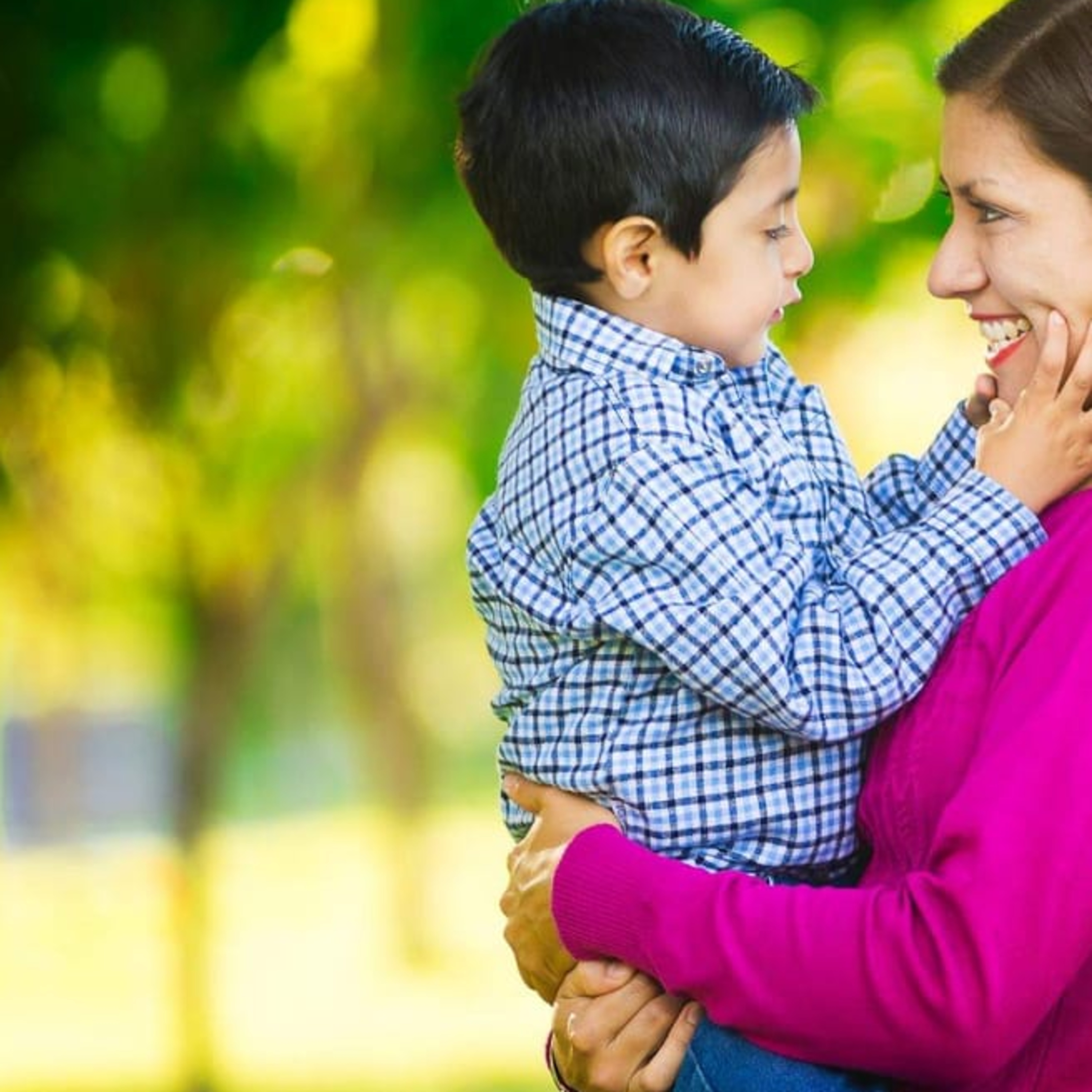 La alegría del amor.Año de la Familia