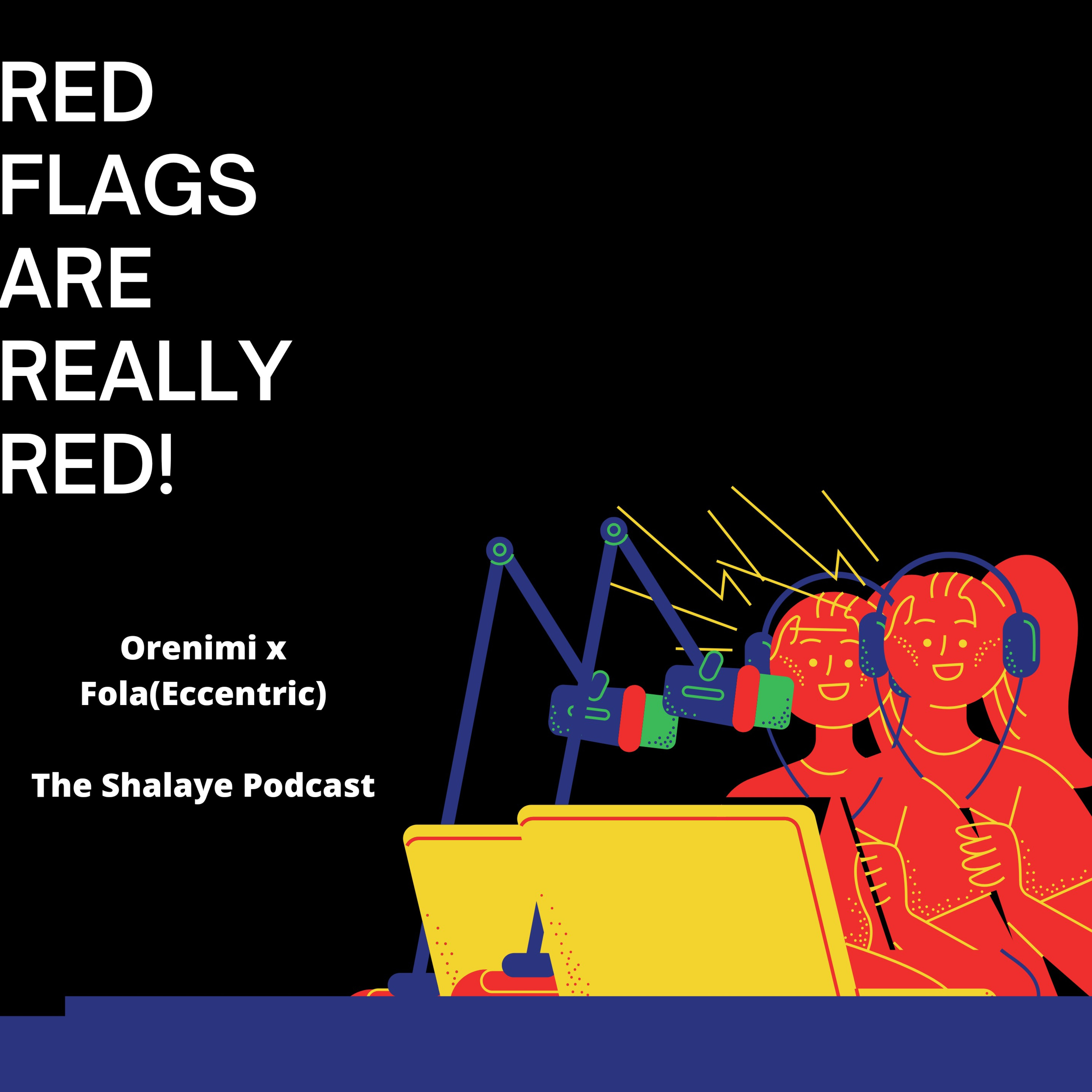 RED FLAGS ARE REALLY RED!