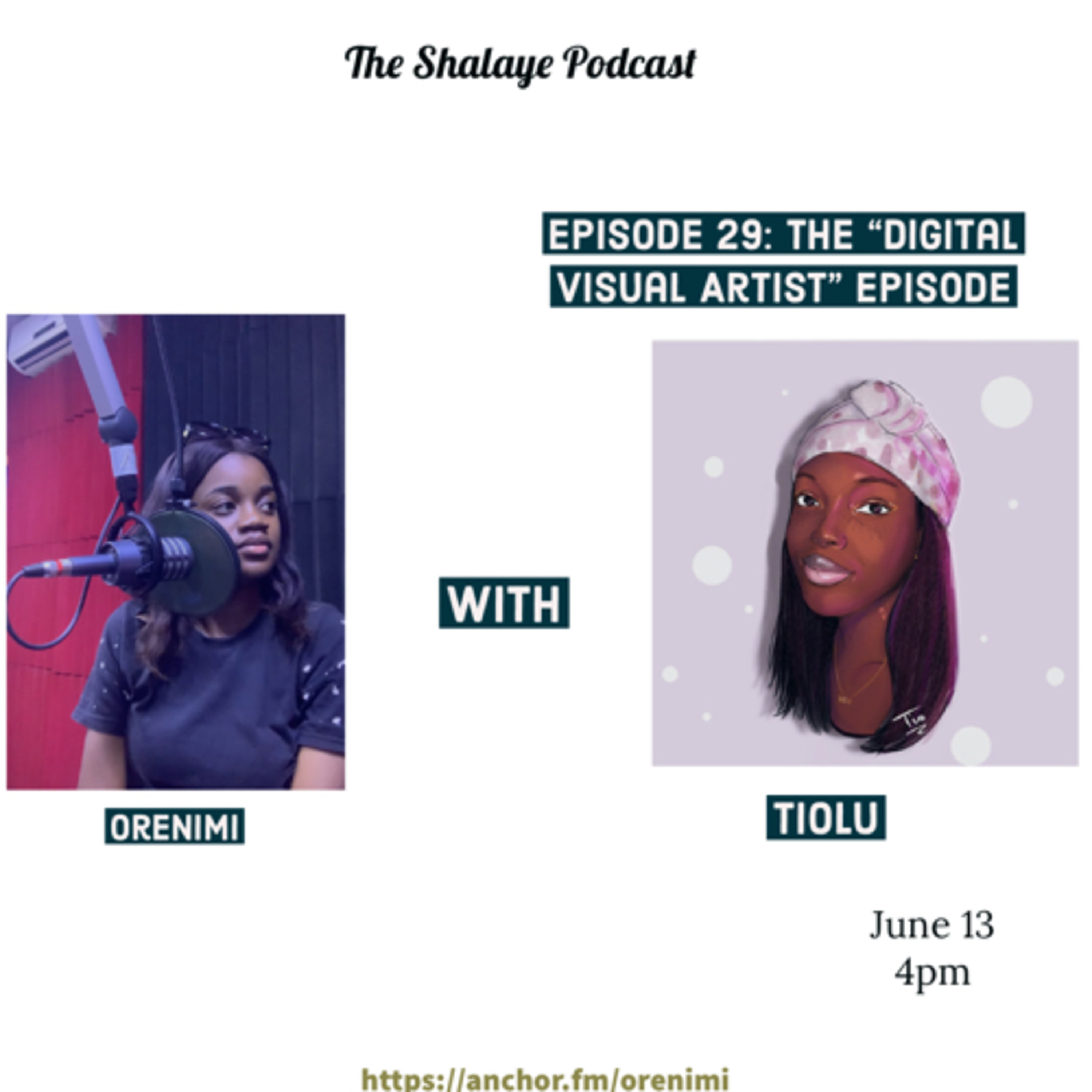 THE DIGITAL VISUAL ARTIST EPISODE