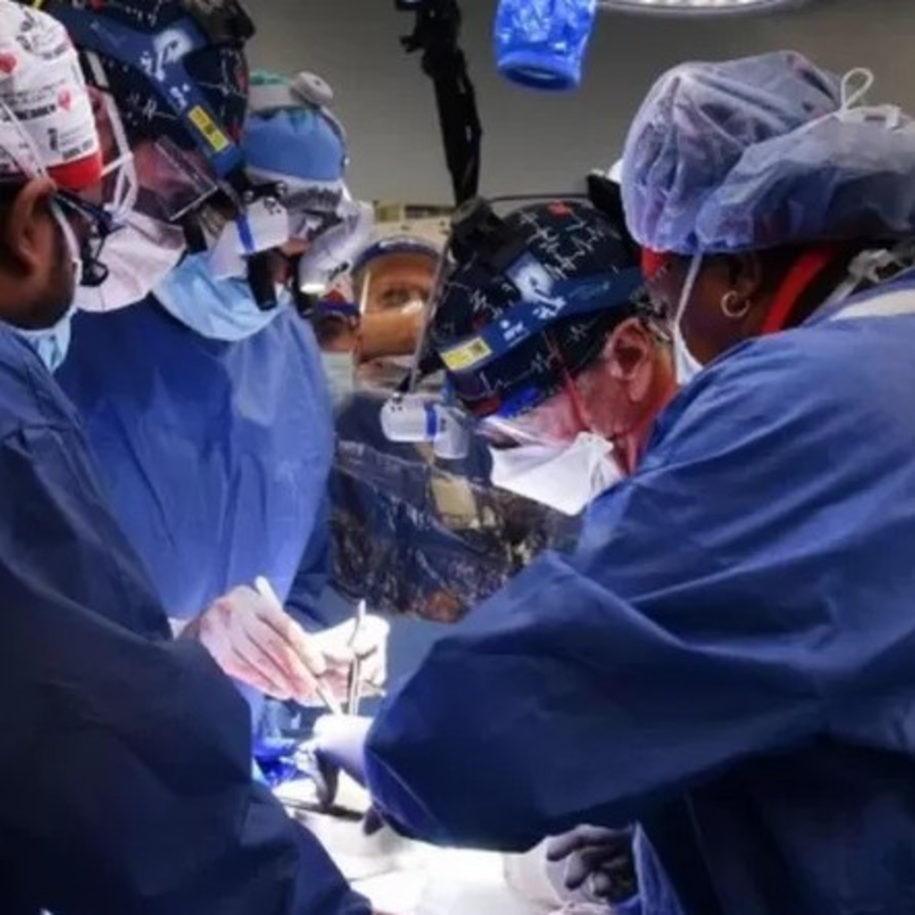 Organ transplant: For the first time in the world, a heart transplant of a genetically modified pig. episode artwork
