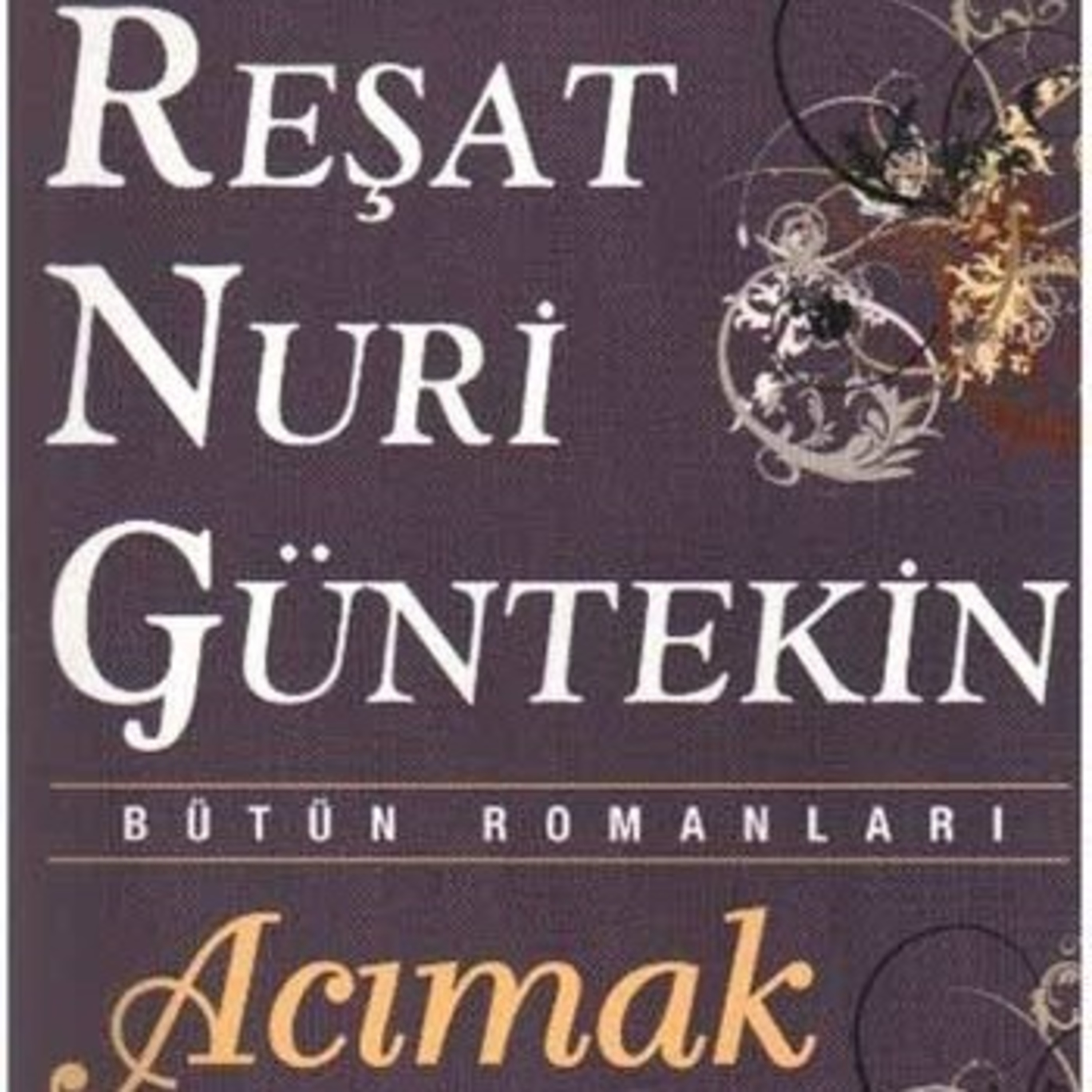 Sesli Kütüphane