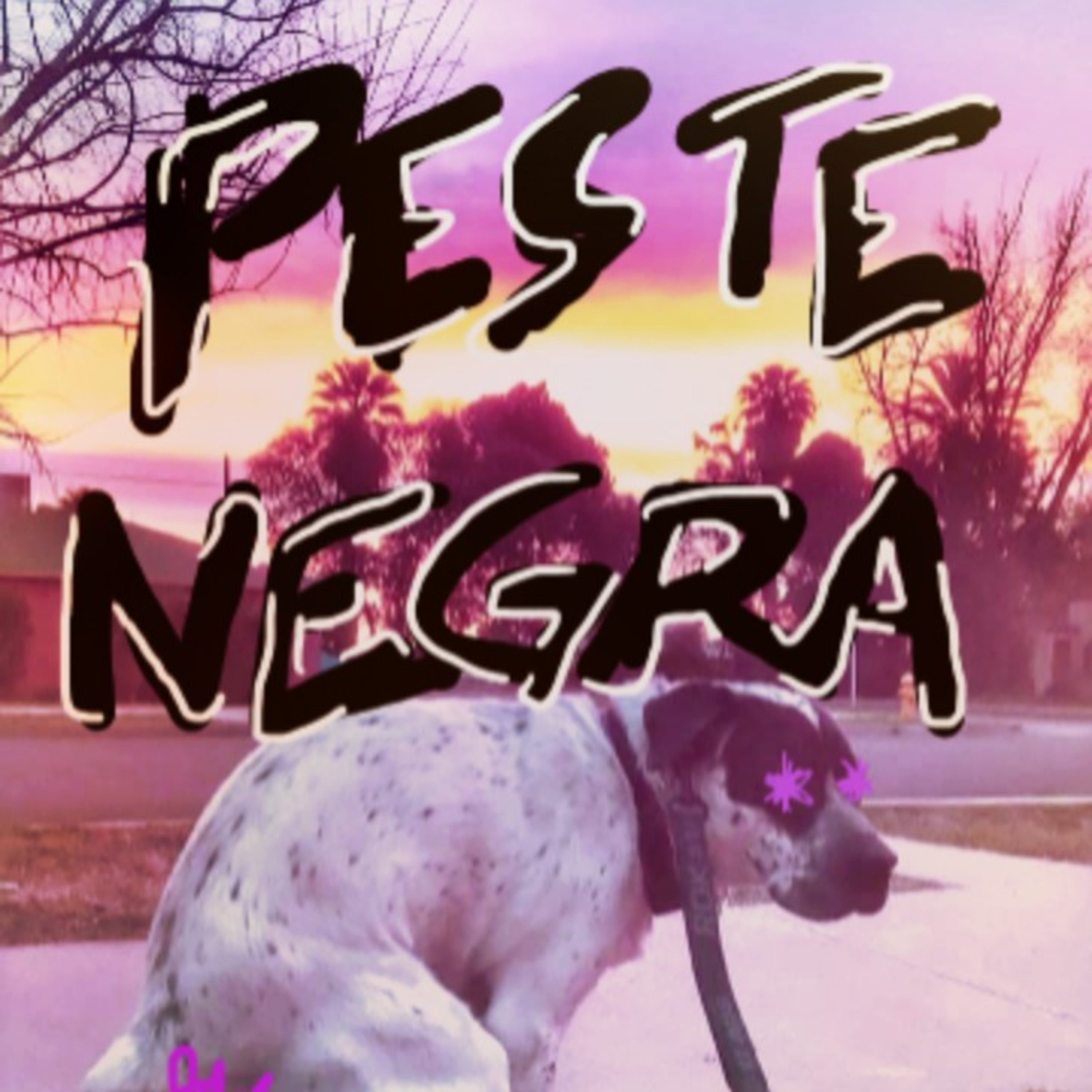 Peste Negra