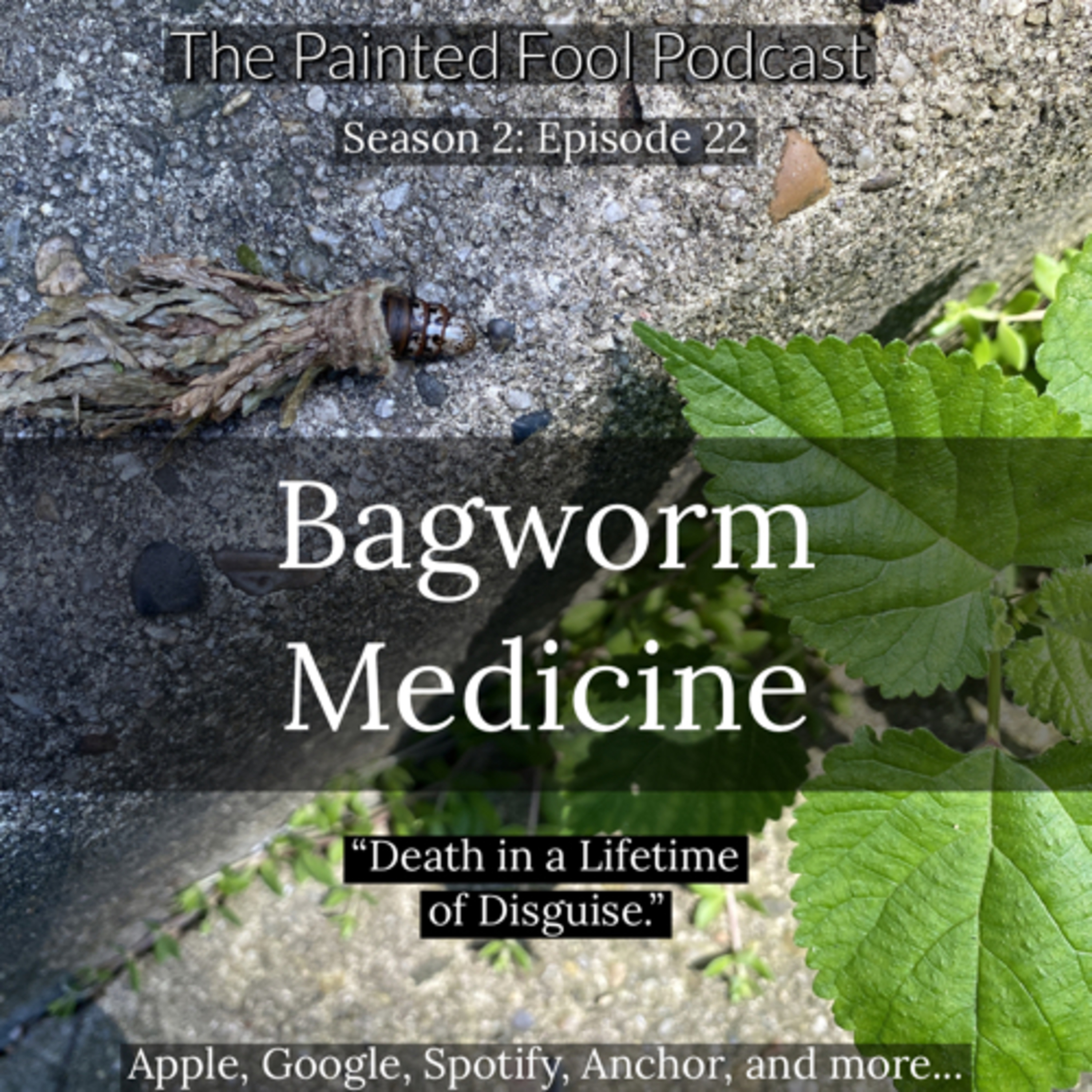 Bagworm Medicine
