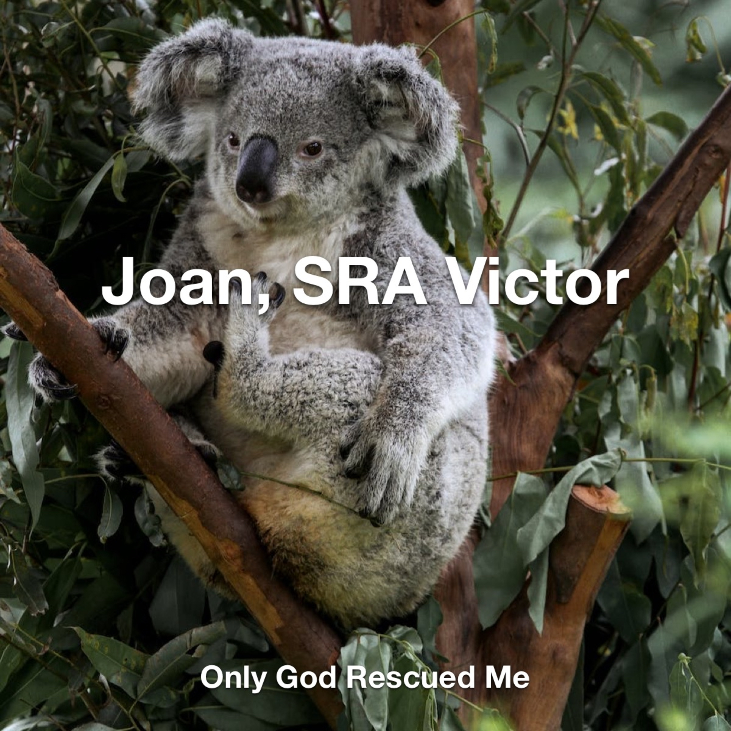 Joan, SRA Victor