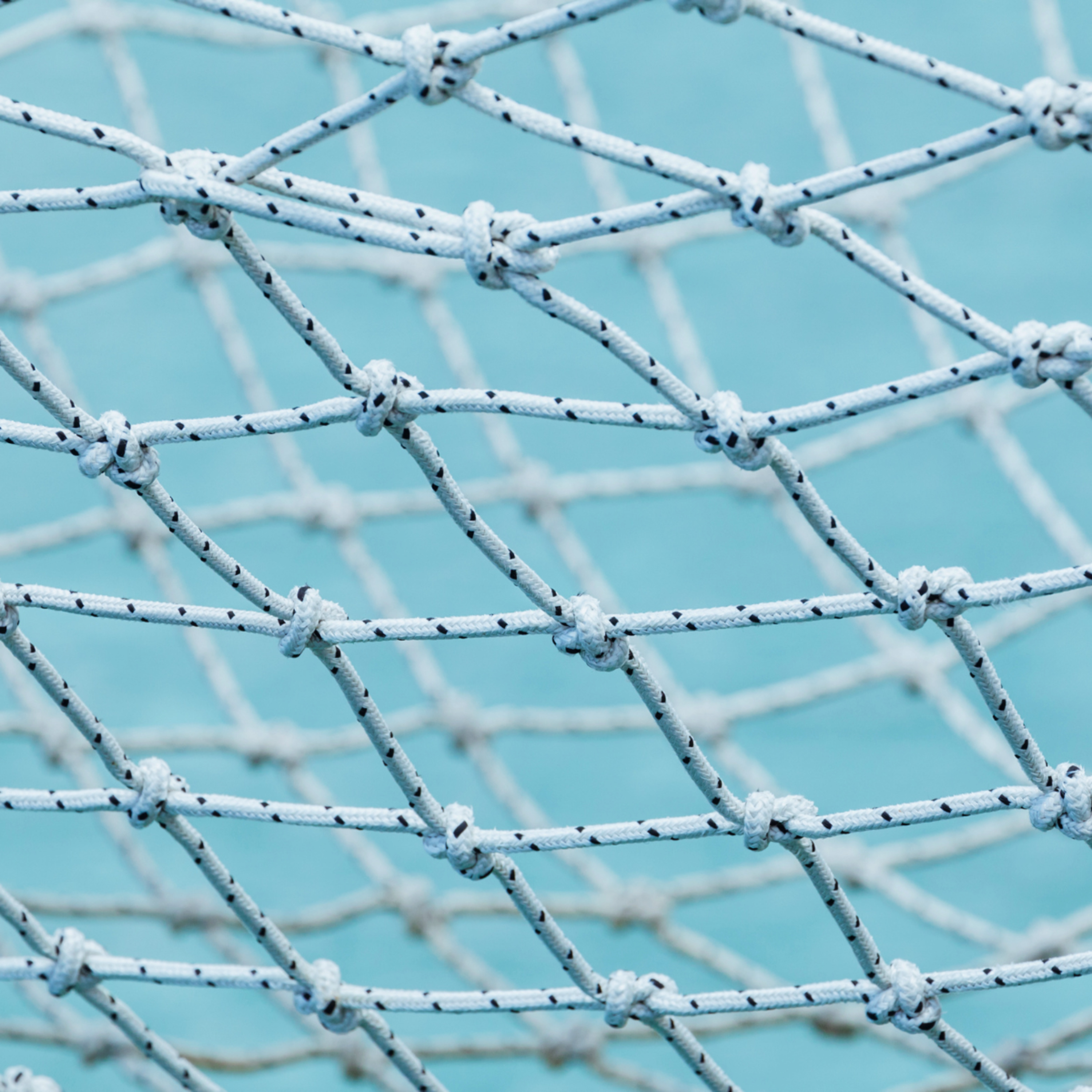 Your Safety Net Is Not a Hammock episode artwork