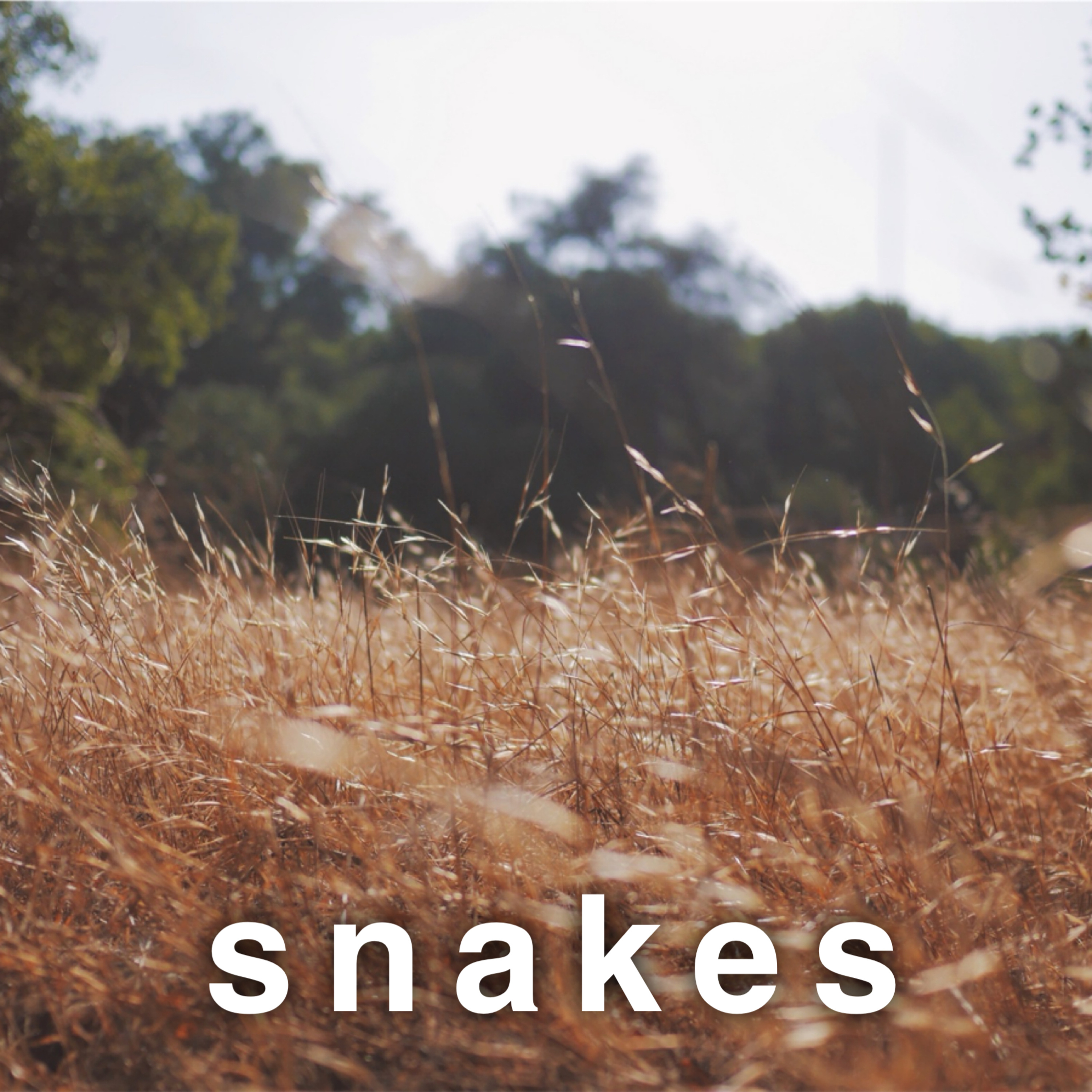 Ep. 7 “Snakes” episode artwork