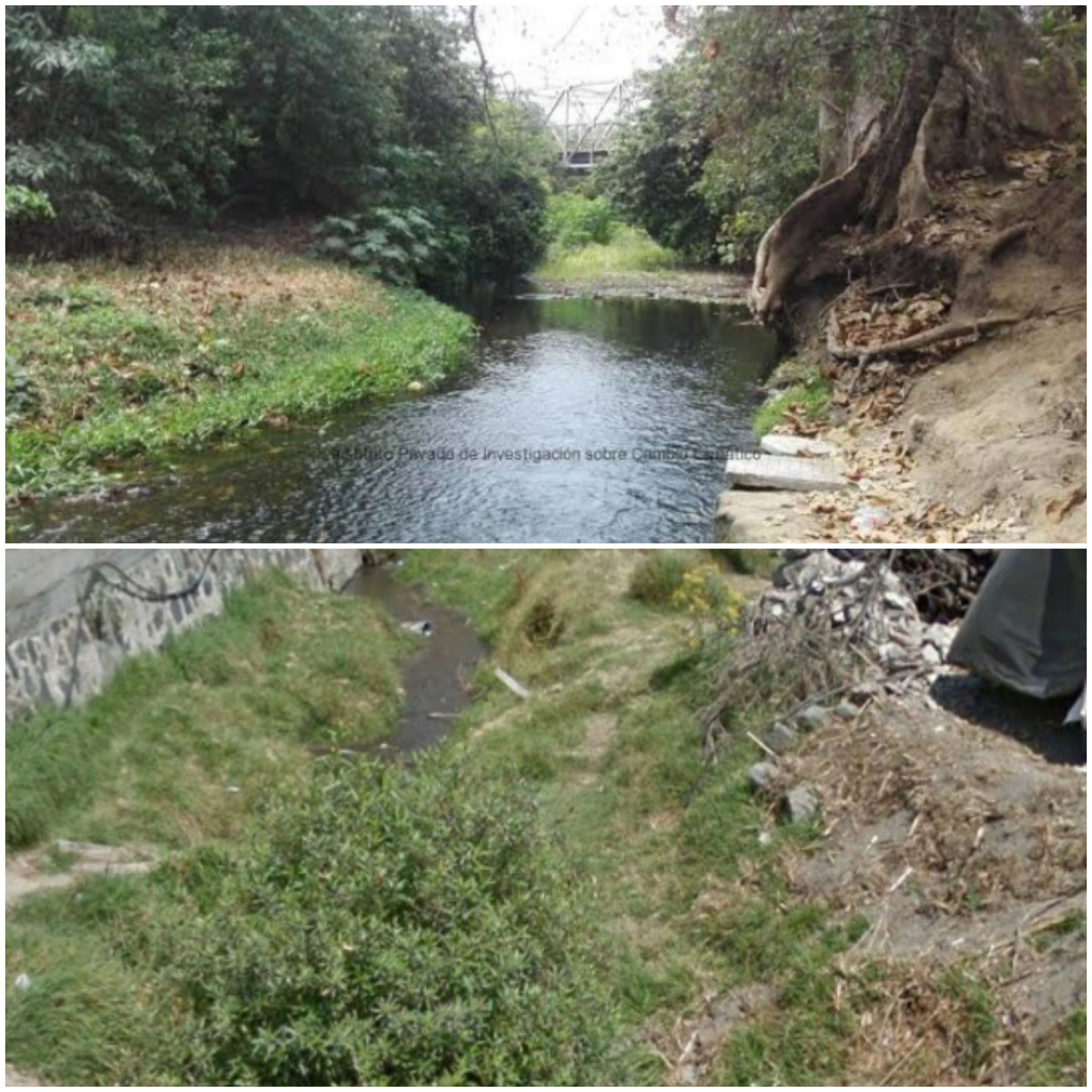 Pollution in the Apol river