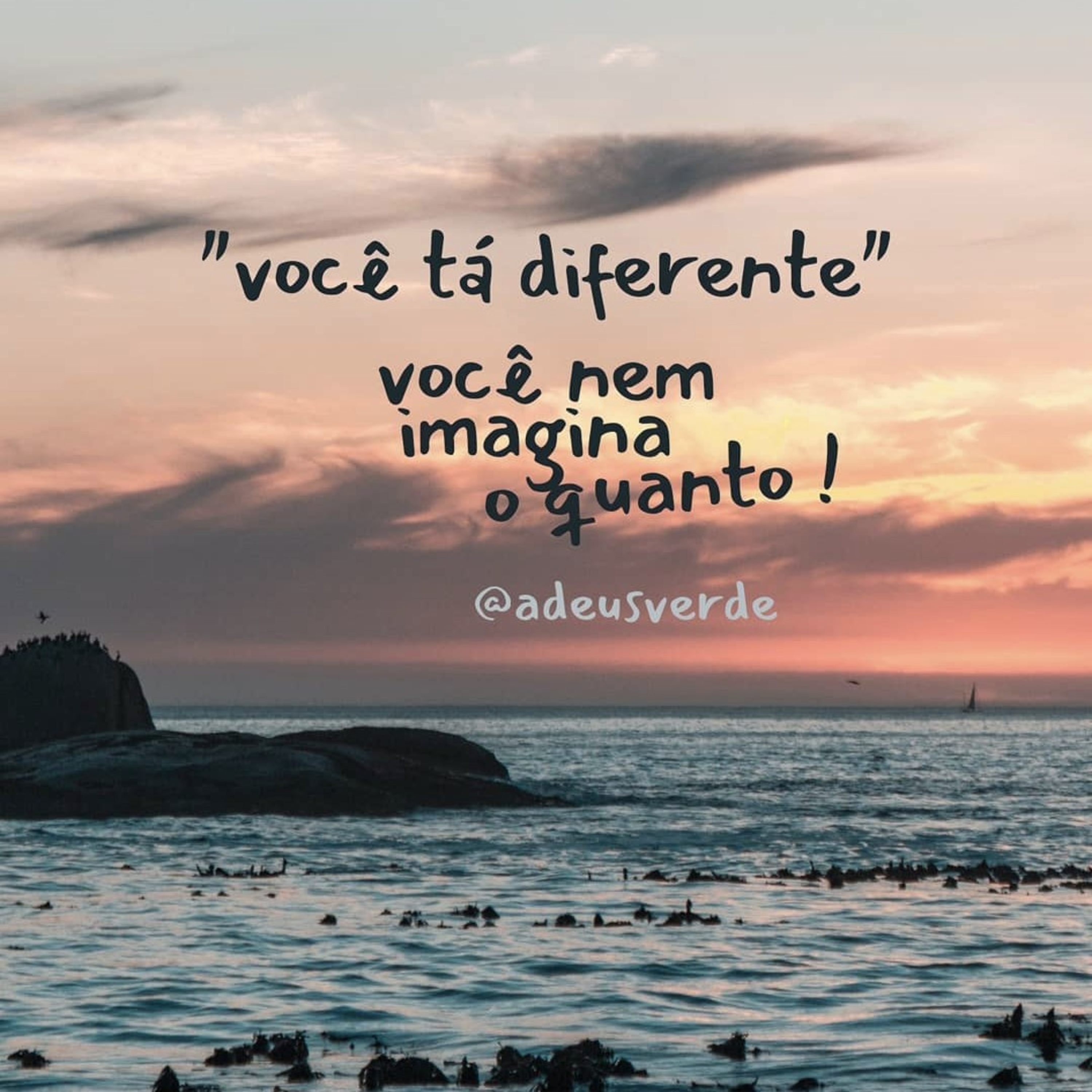 Uma dose de Ccella