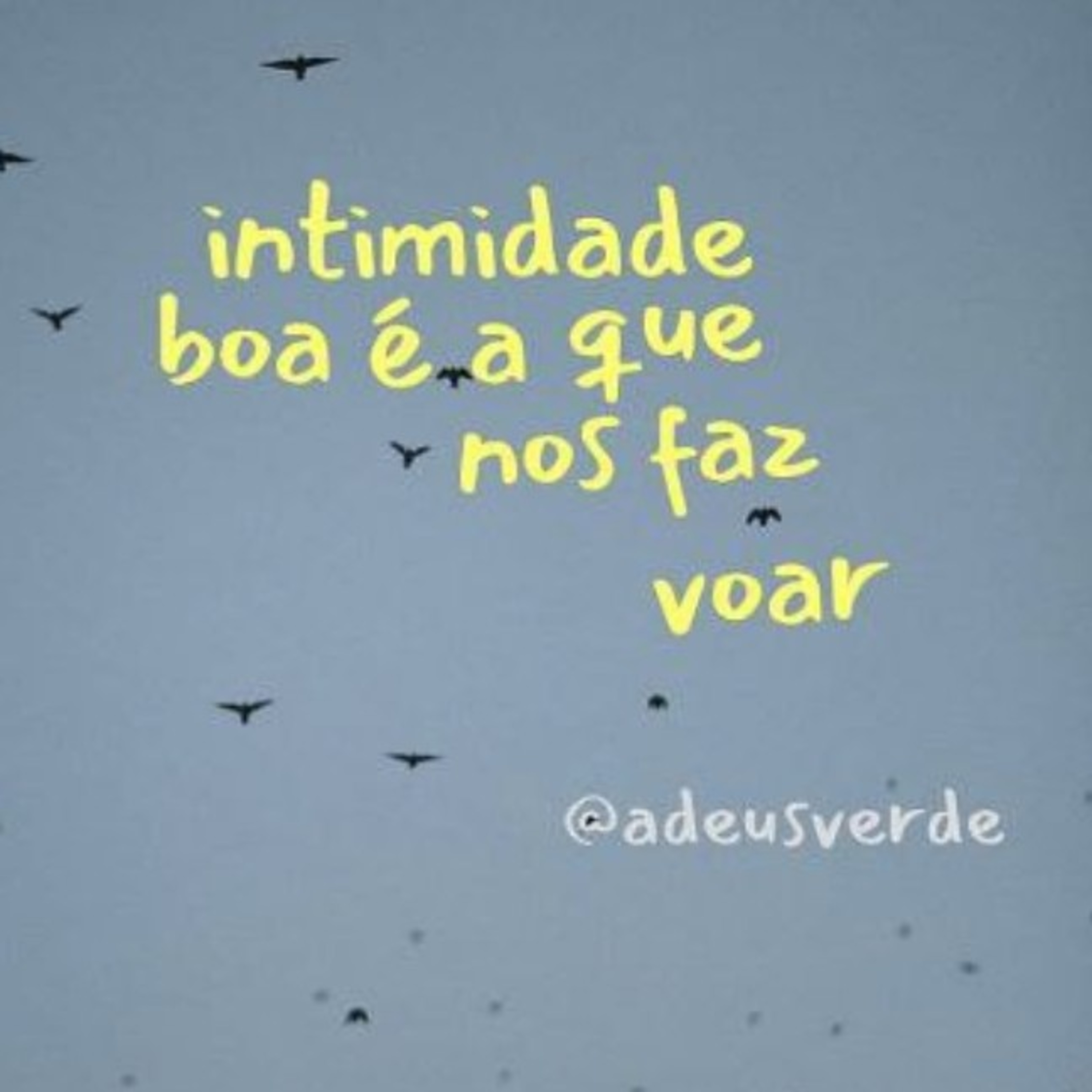Uma dose de Ccella