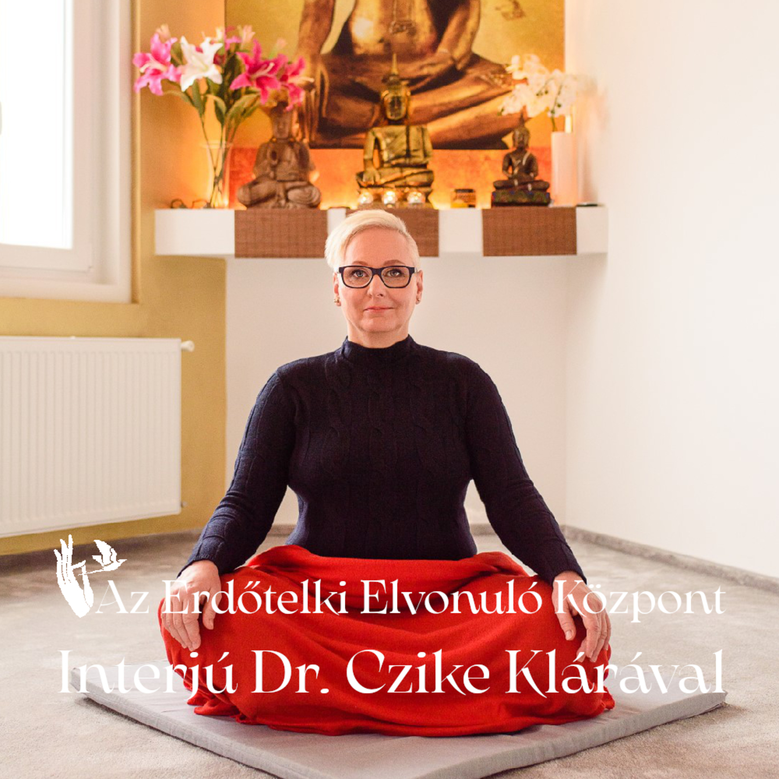 Az Erdőtelki Elvonuló Központ – Interjú Dr. Czike Klárával