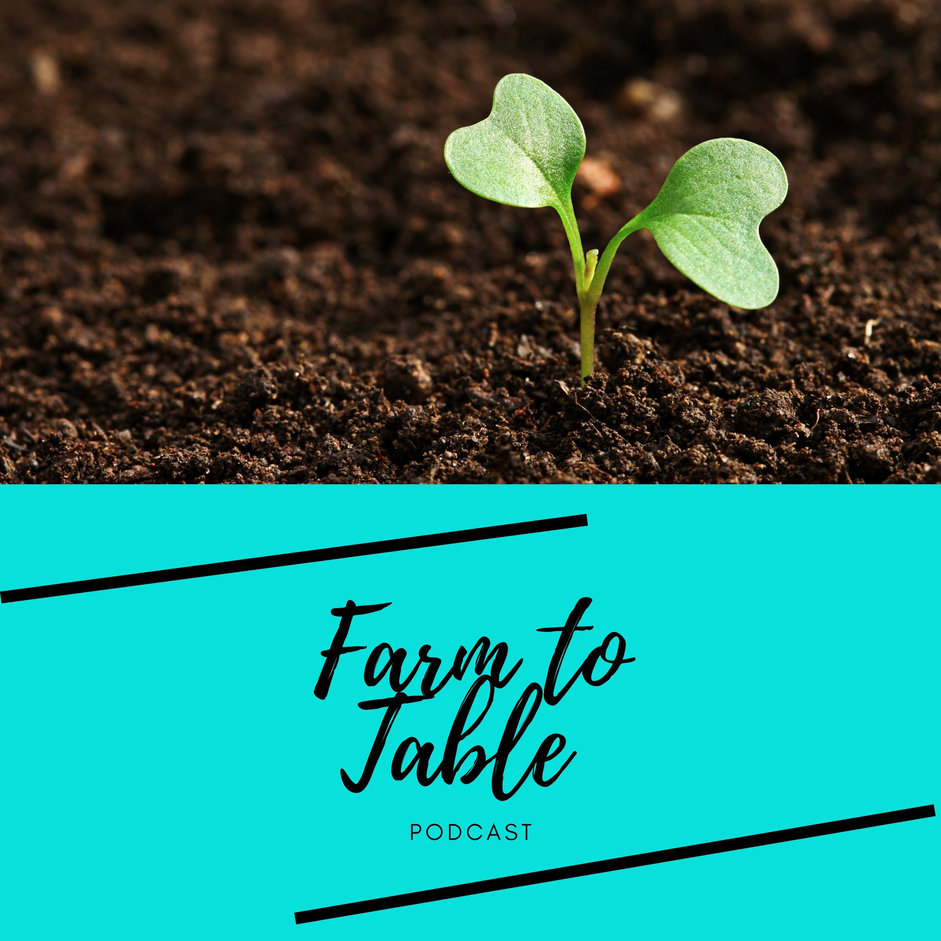 Farm to Table Podcast KE