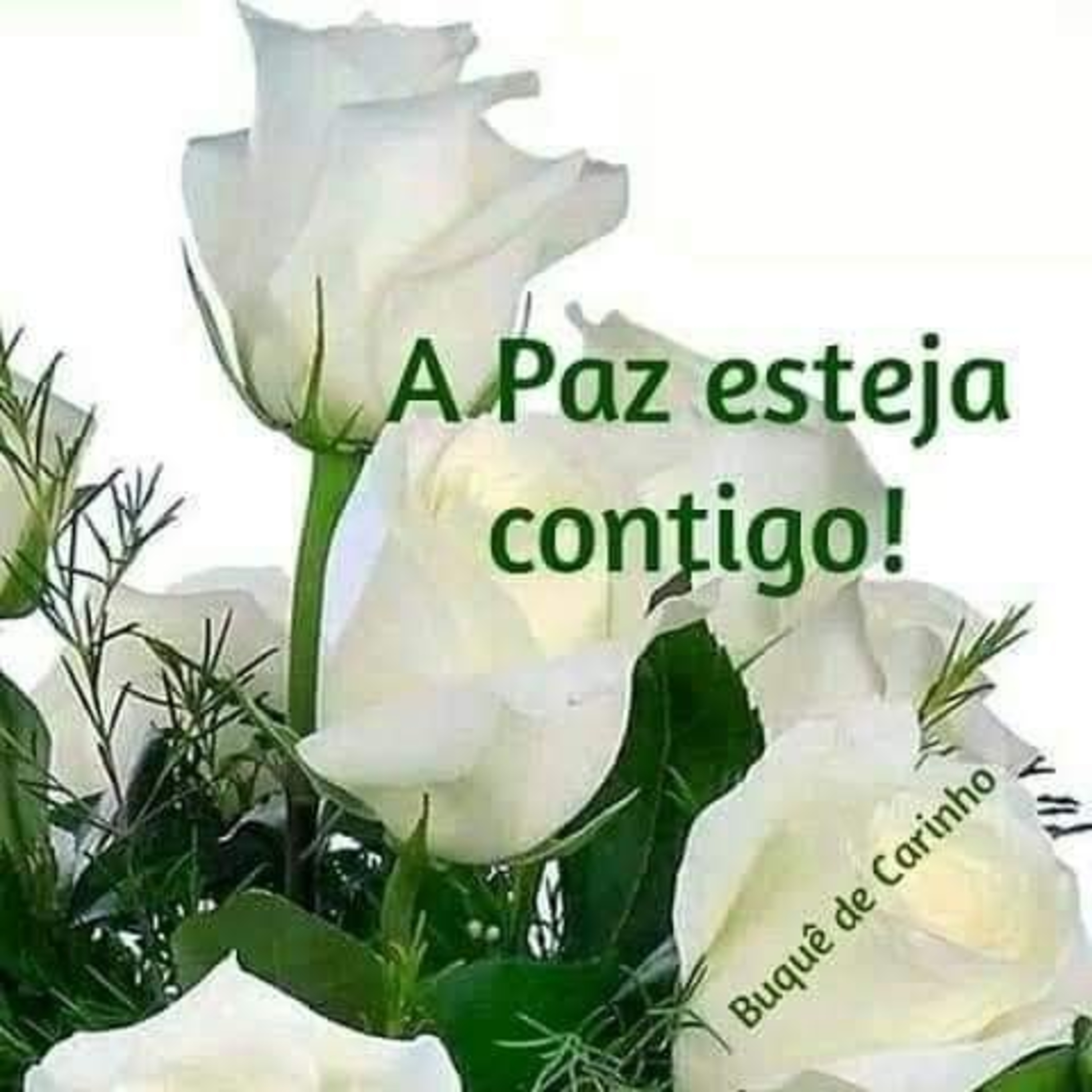 Predicado