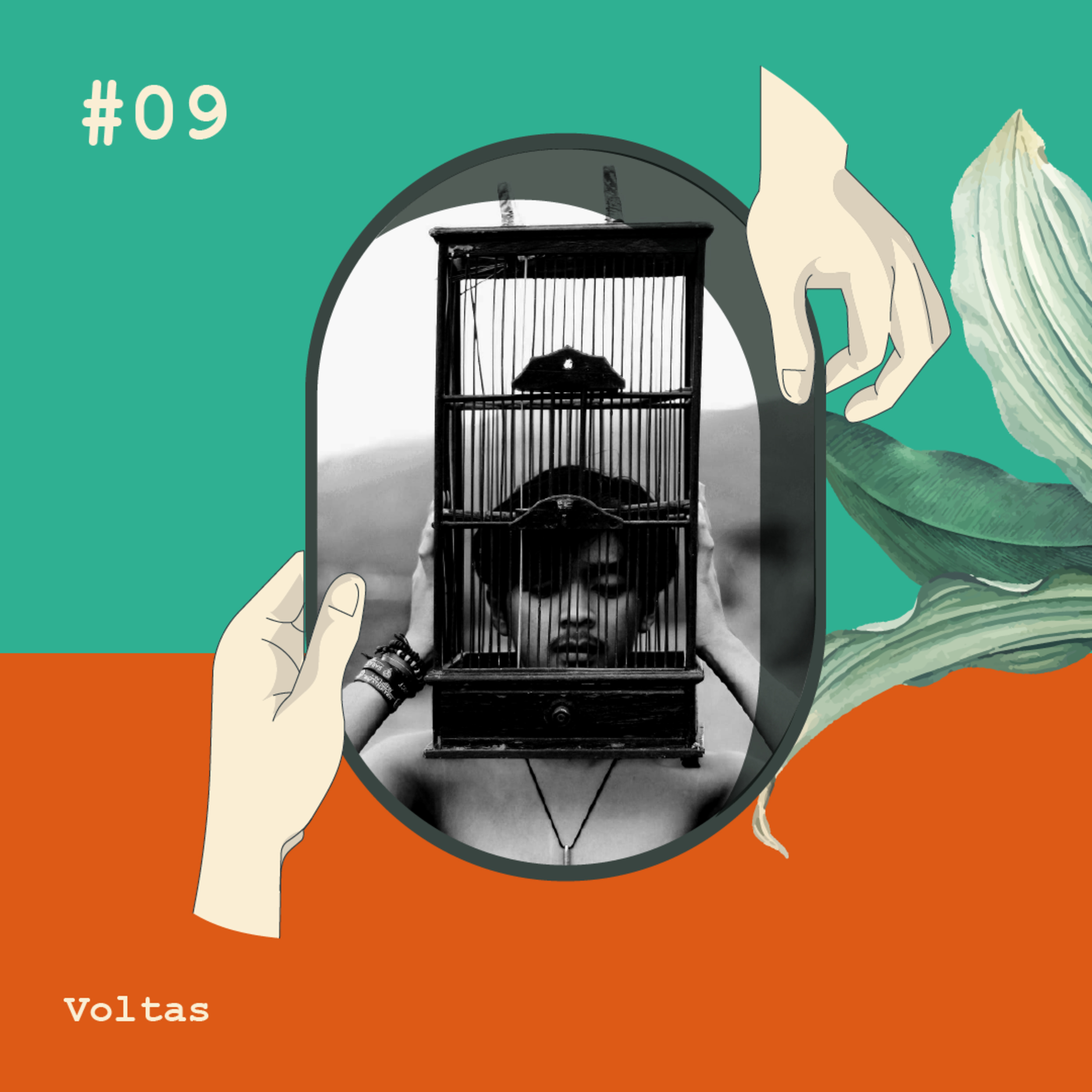 Volteio