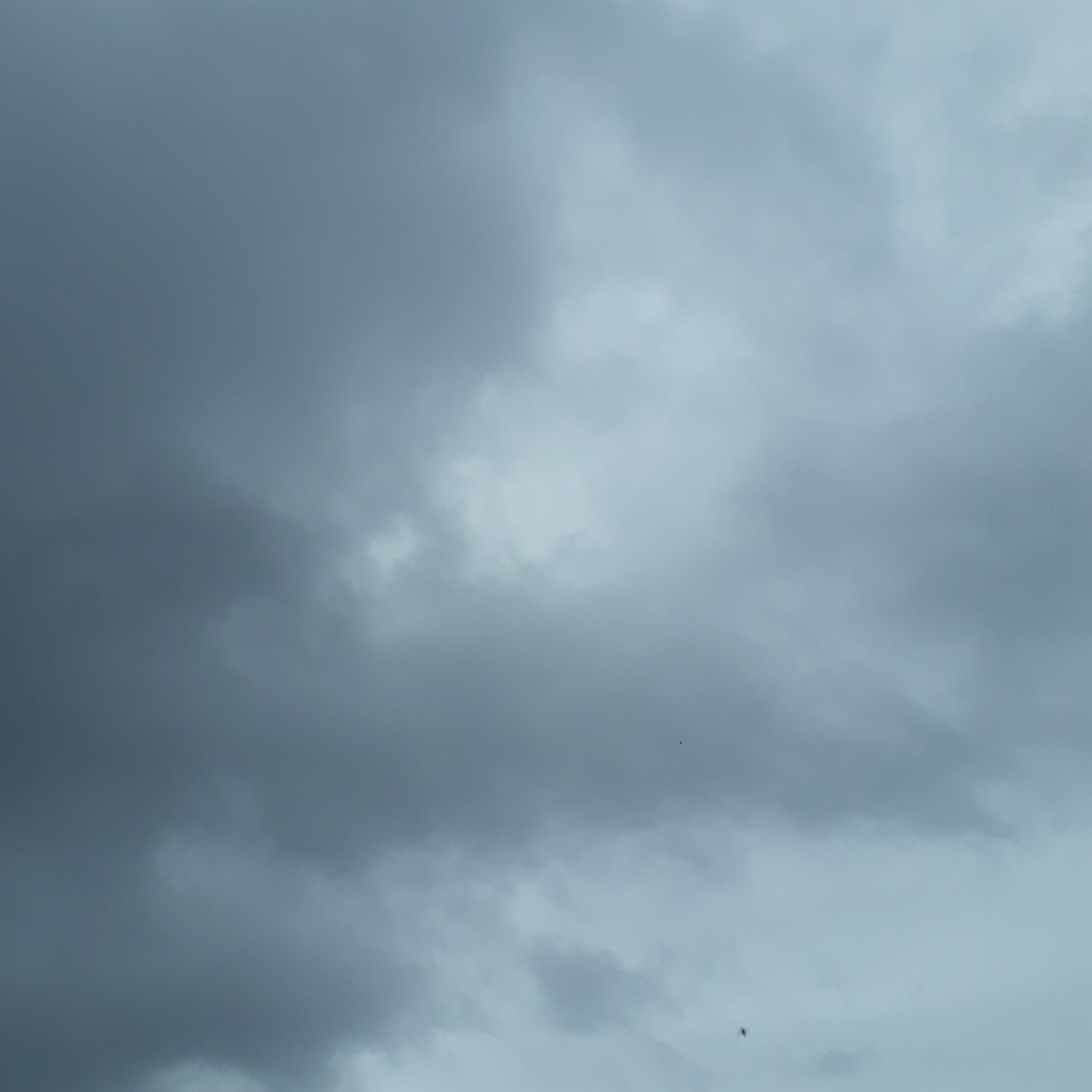 menino azul