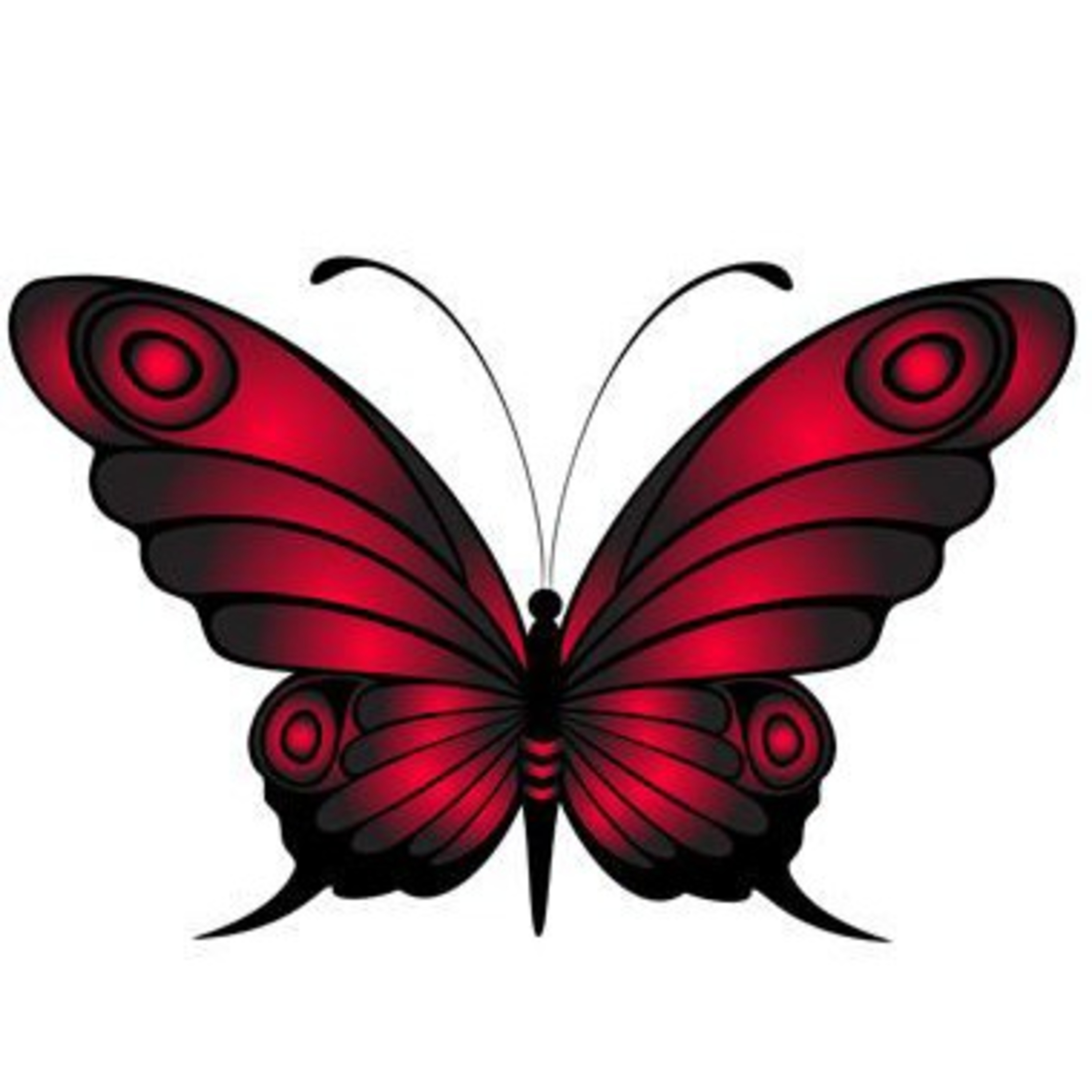 El Vuelo De La Mariposa Bohemia