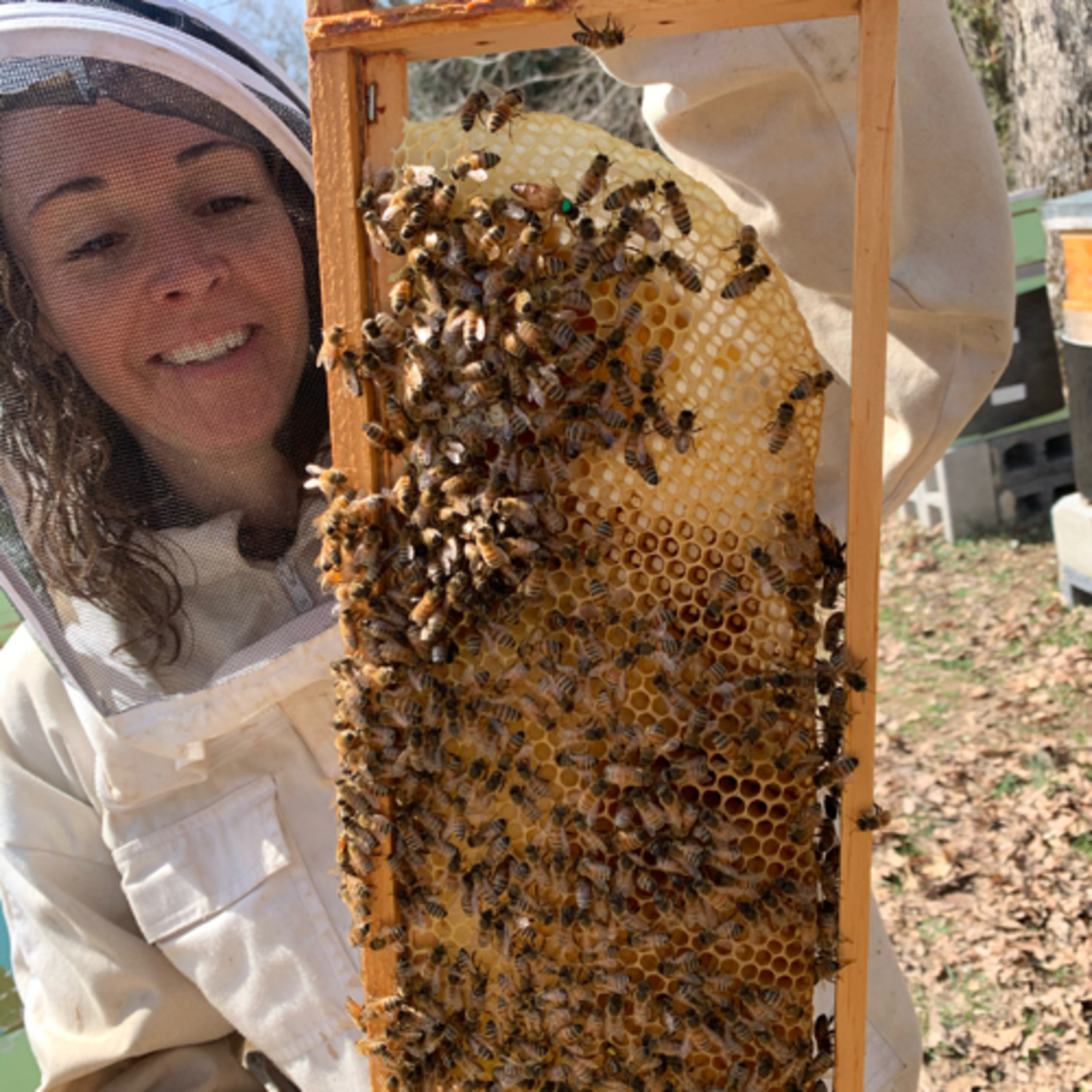 Mind Your Hives Beekeeping