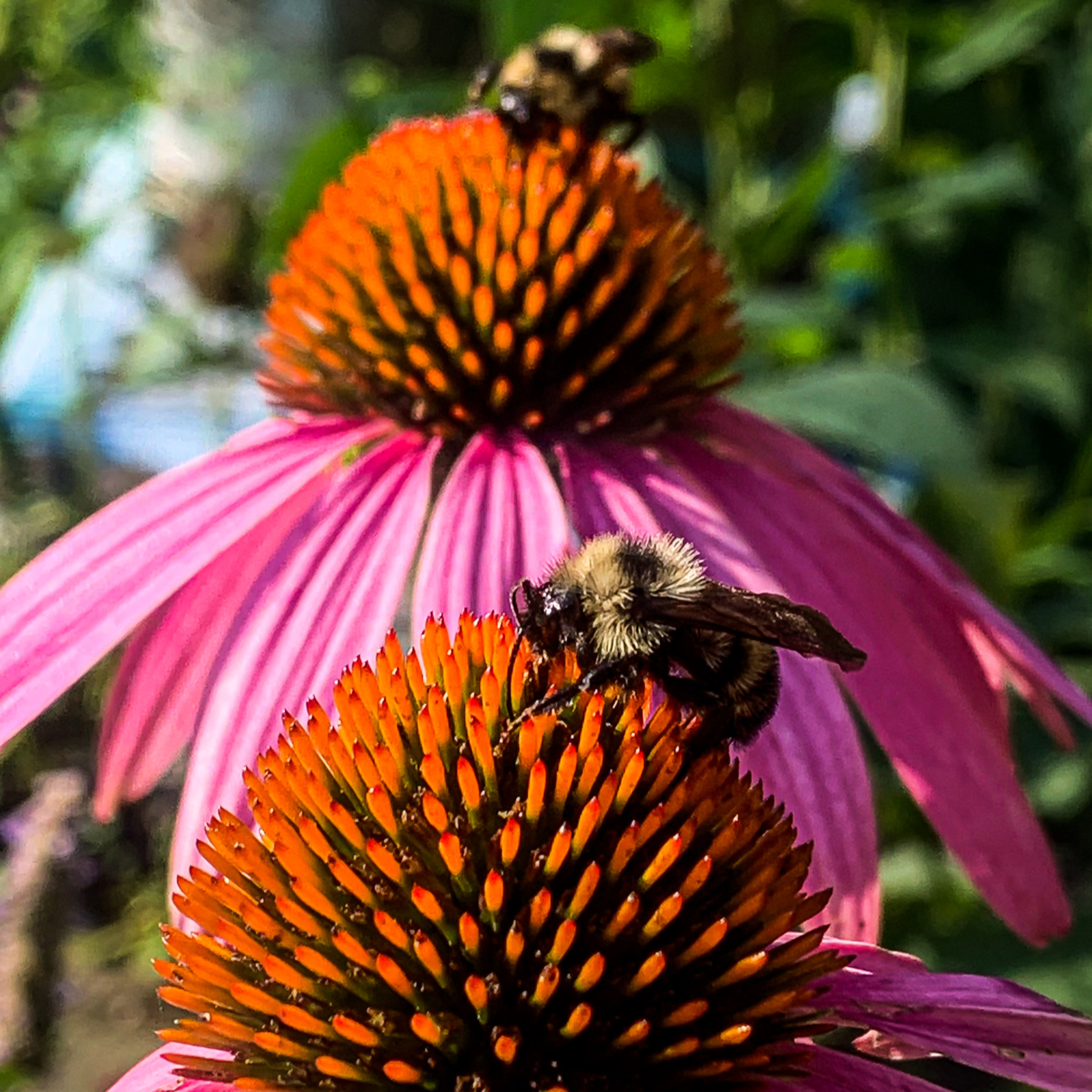 Mind Your Hives Beekeeping